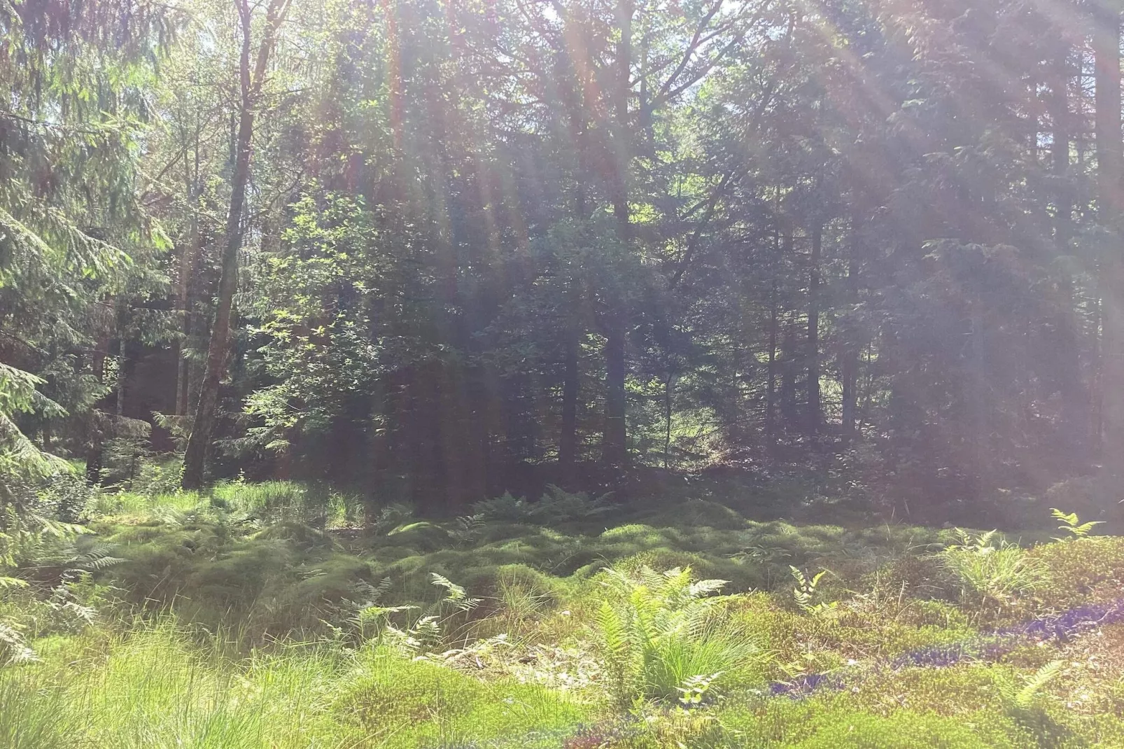 Rustige hut vlakbij het Furufjall-pad-Buitenlucht