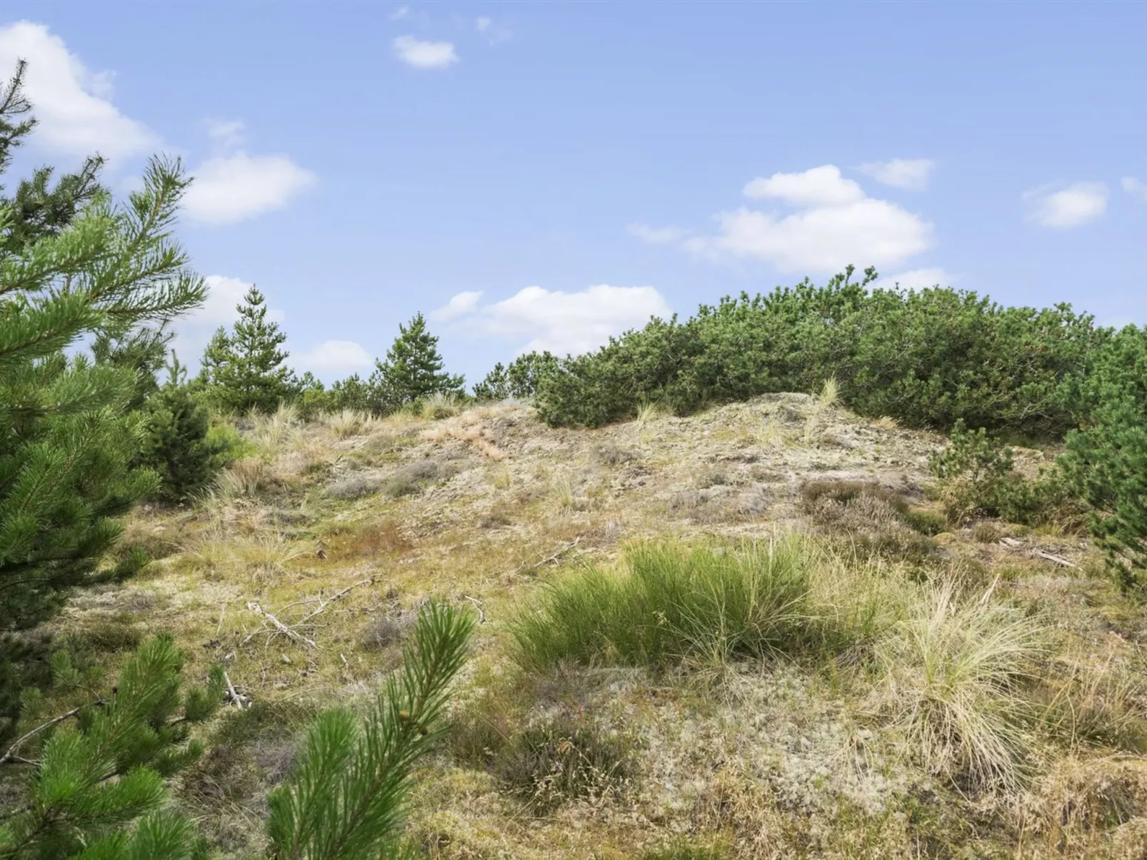 "Gise" - 2km from the sea-Buiten