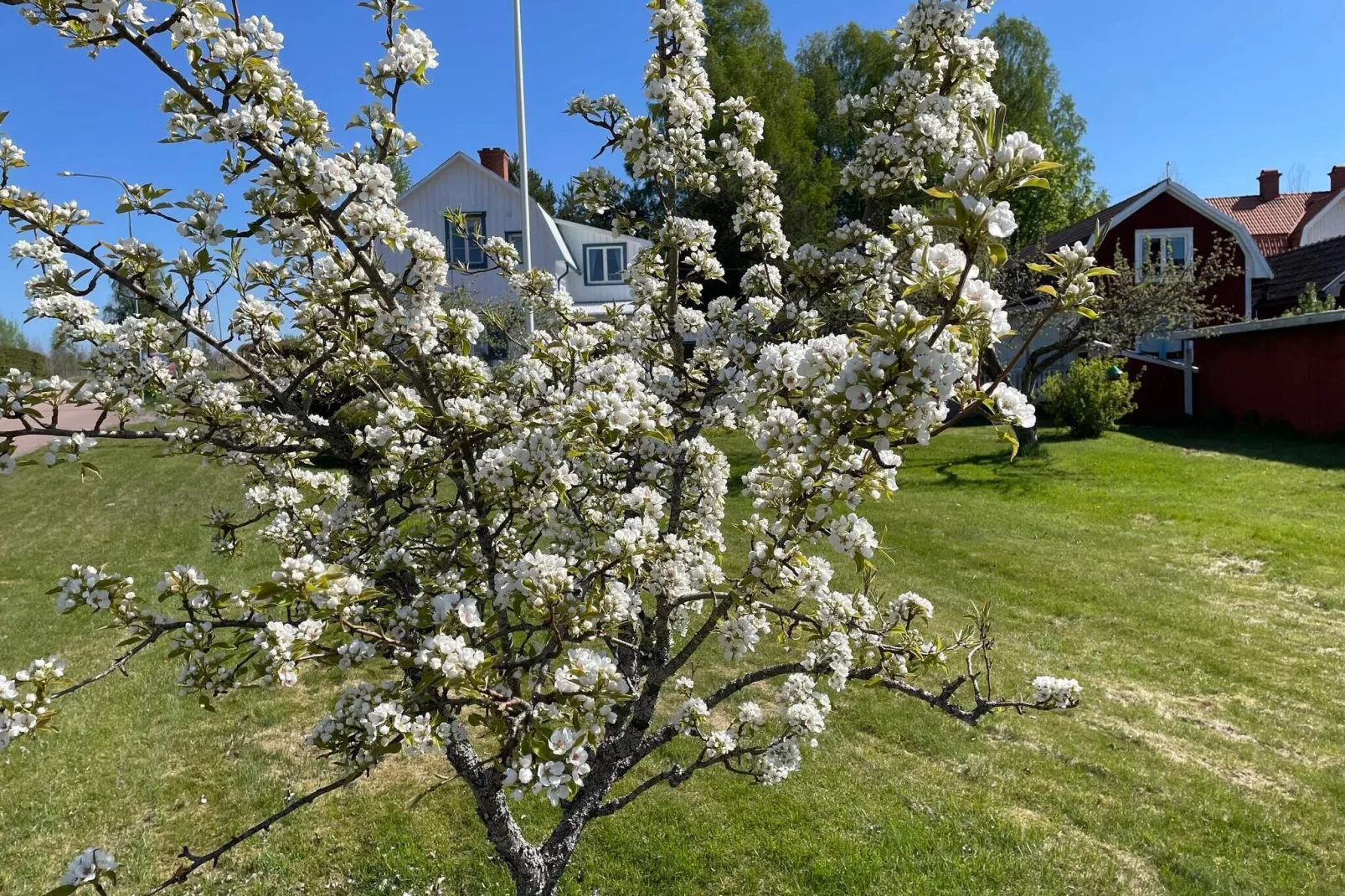 9 persoons vakantie huis in LYSVIK-Buitenlucht