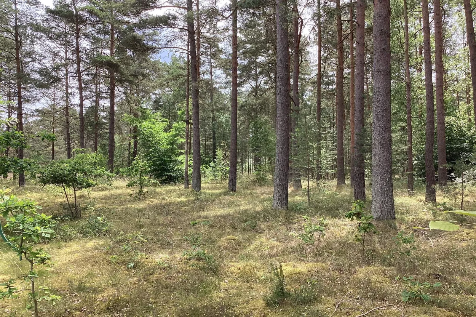 4 Personen vakantie huis in DEGEBERGA