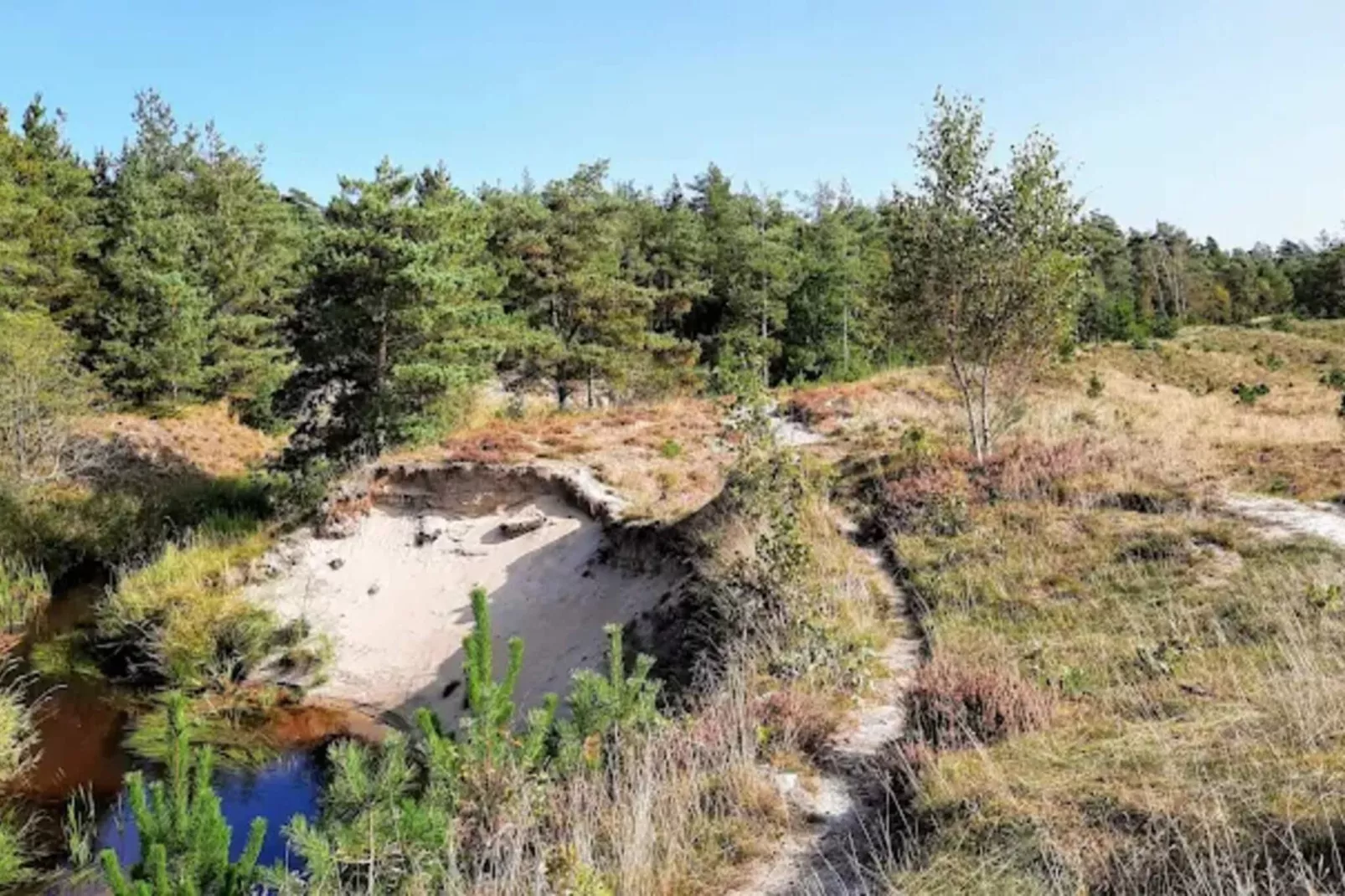 Kustsereniteit bij Knasborg Strand-By Traum-Niet-getagd
