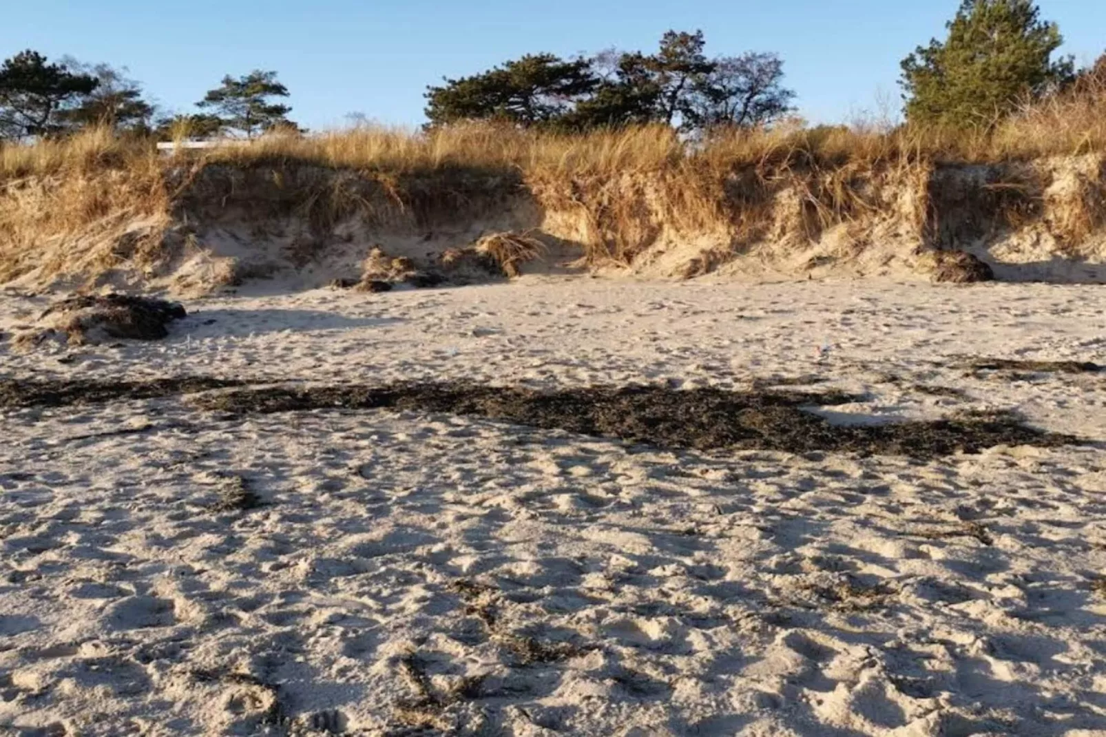 10 persoons vakantie huis in Idestrup-Niet-getagd