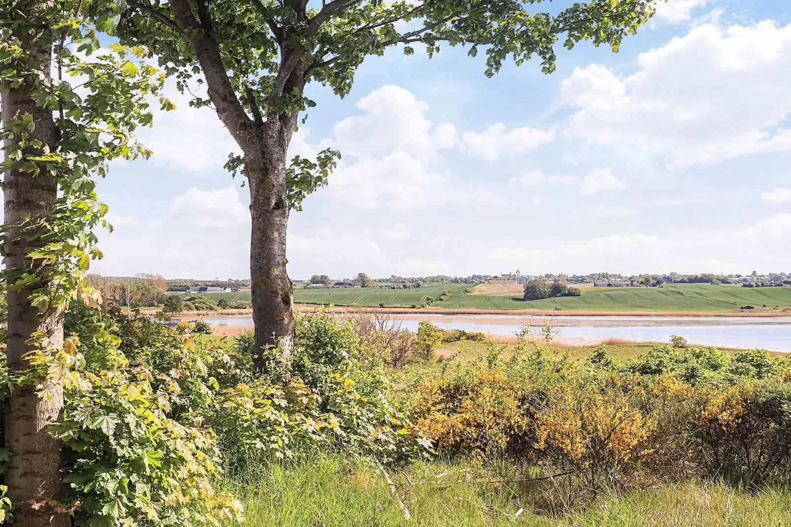 12 persoons vakantie huis in Millinge-Waterzicht