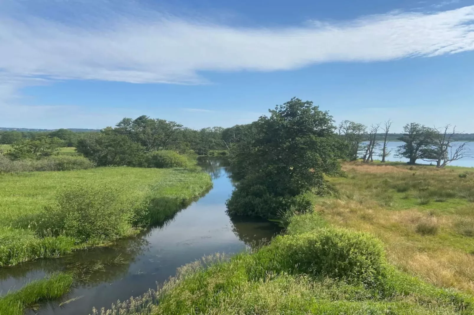 Vakantiehuis aan het meer met bos-Waterzicht