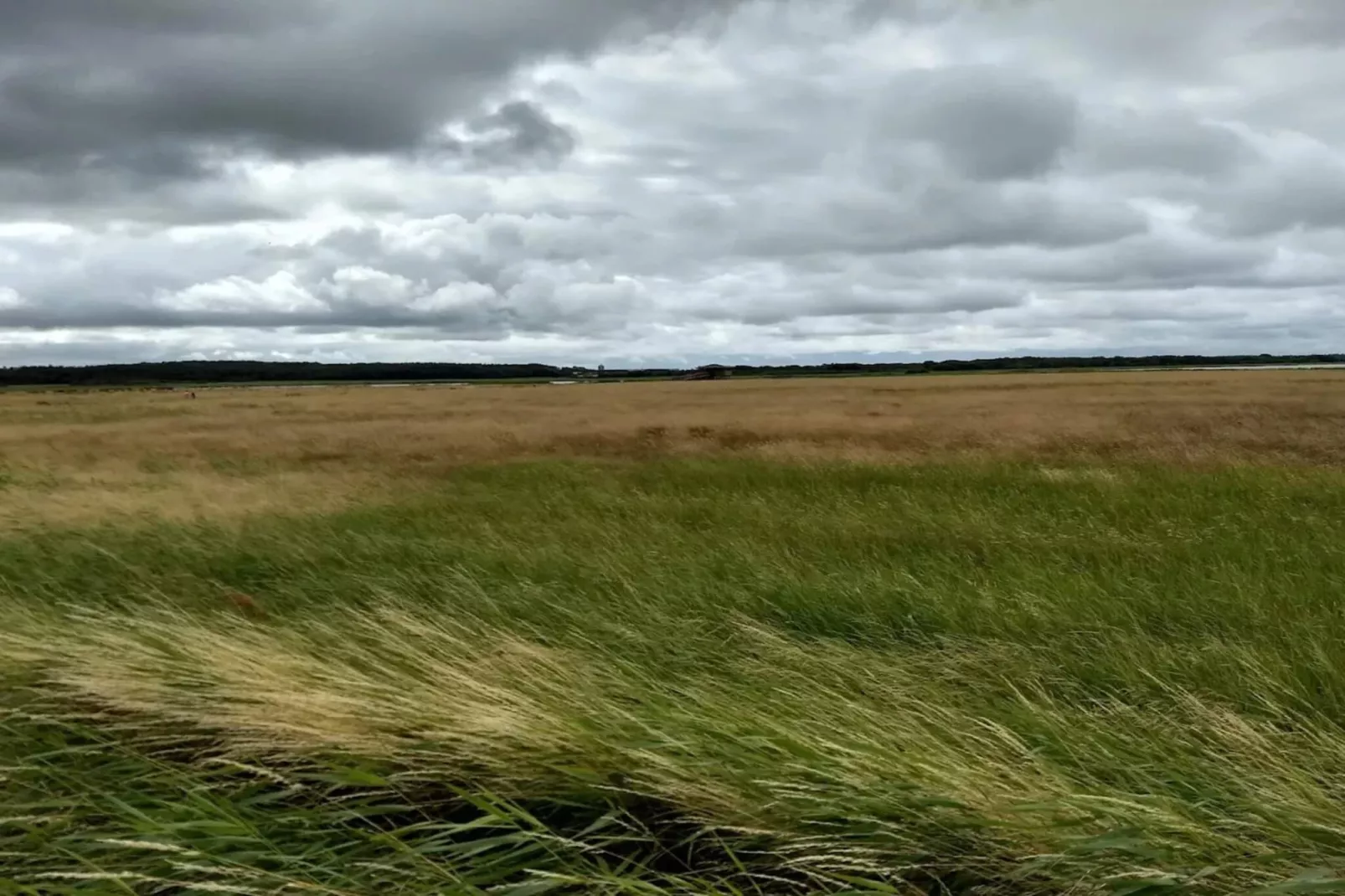 8 persoons vakantie huis in Løgstør-By Traum-Niet-getagd