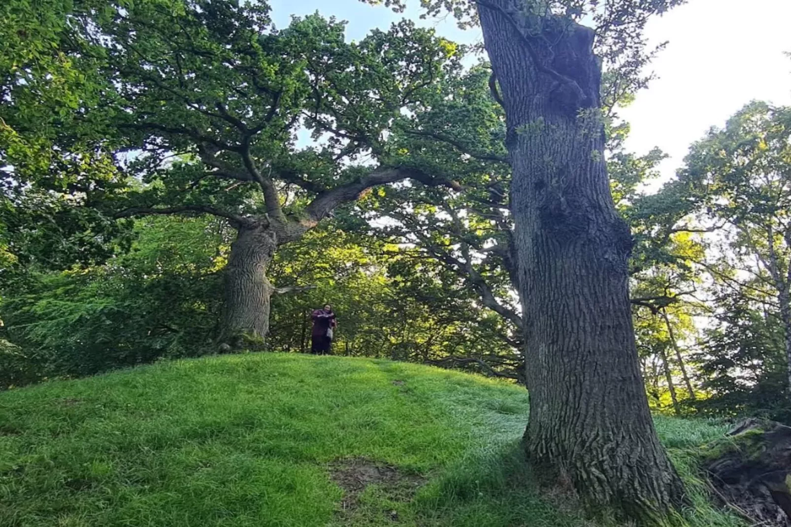 4 persoons vakantie huis in Faxe Ladeplads-Niet-getagd