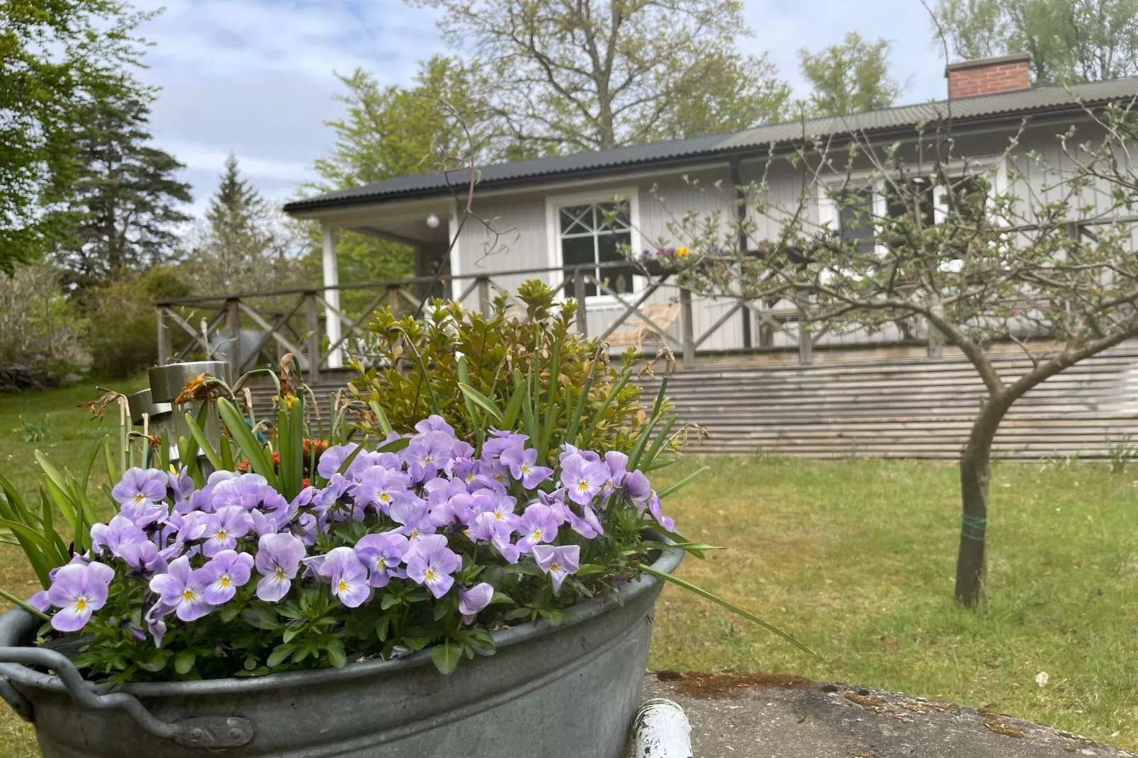 6 persoons vakantie huis in RONNEBY-By Traum-Buitenlucht