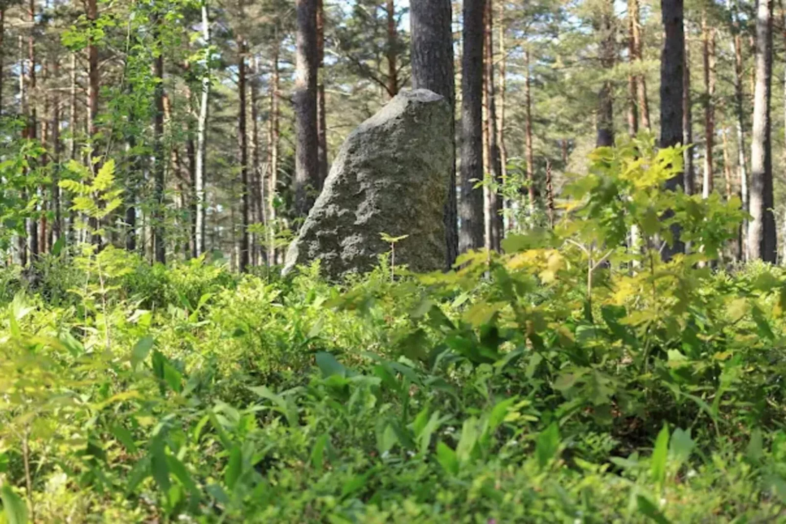 4 persoons vakantie huis in INGARÖ-By Traum-Niet-getagd