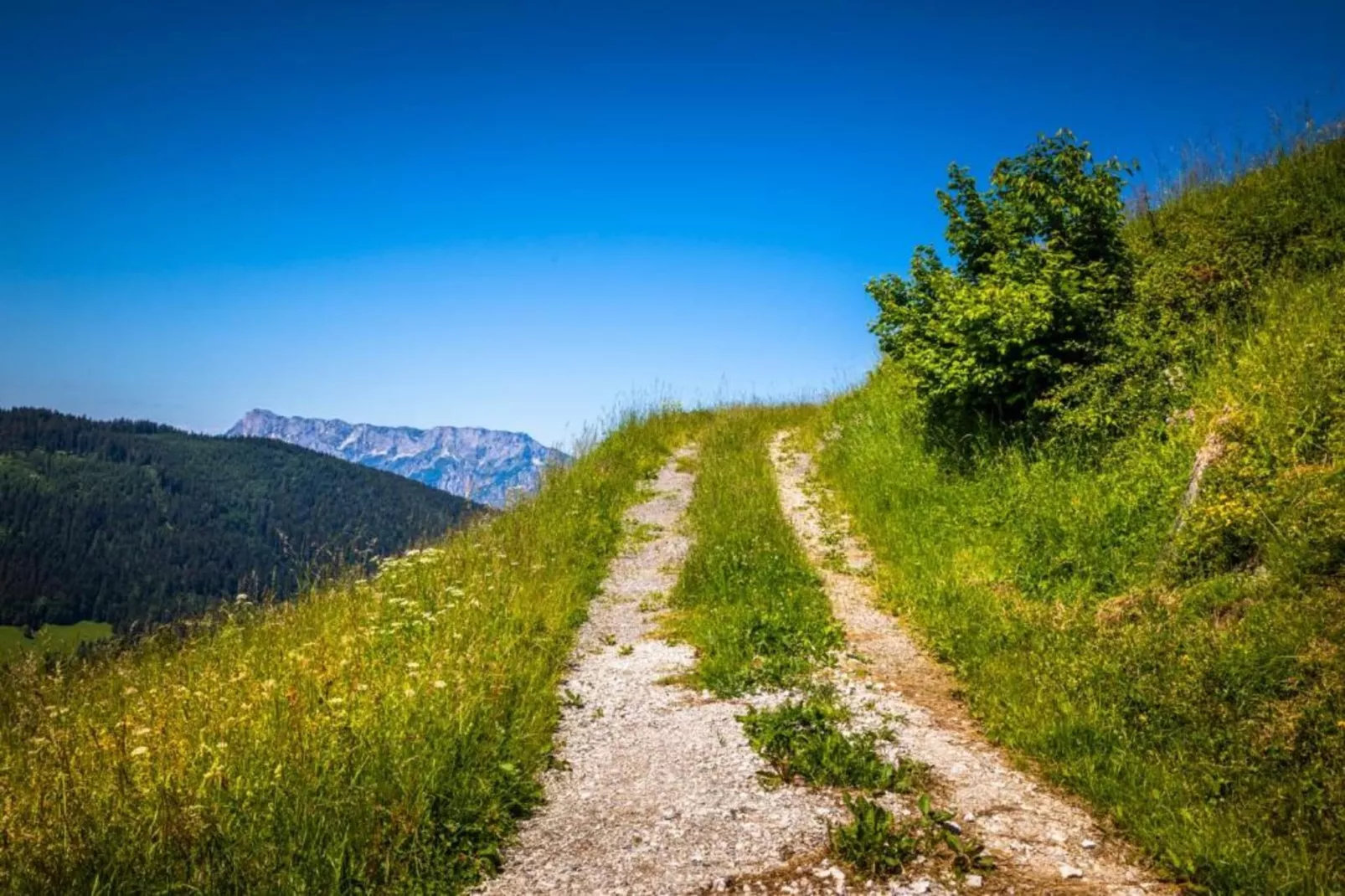 Ferienhaus Rieger-Gebieden zomer 20km