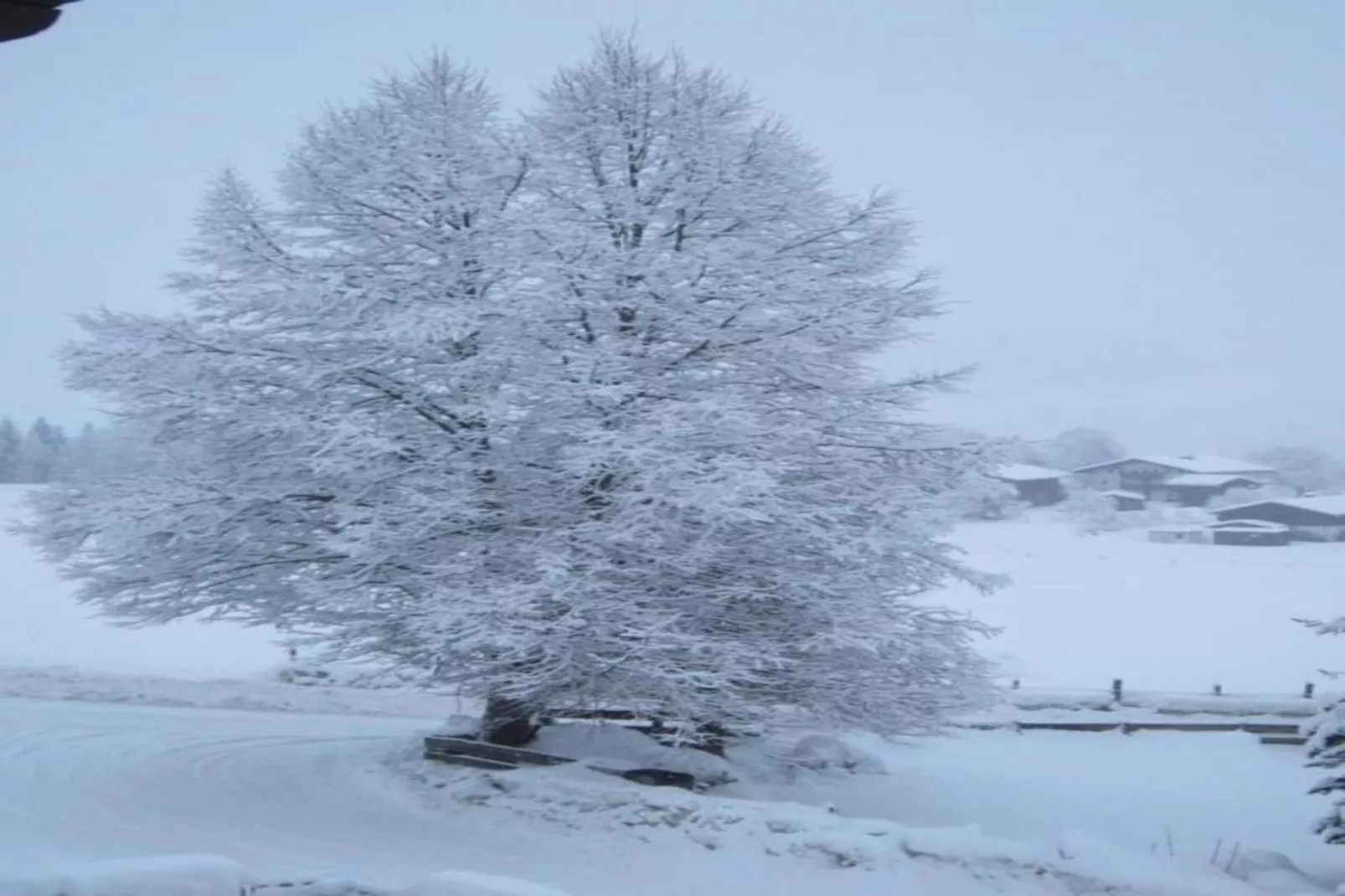Chalet Lengberg B2-Gebied winter 20km