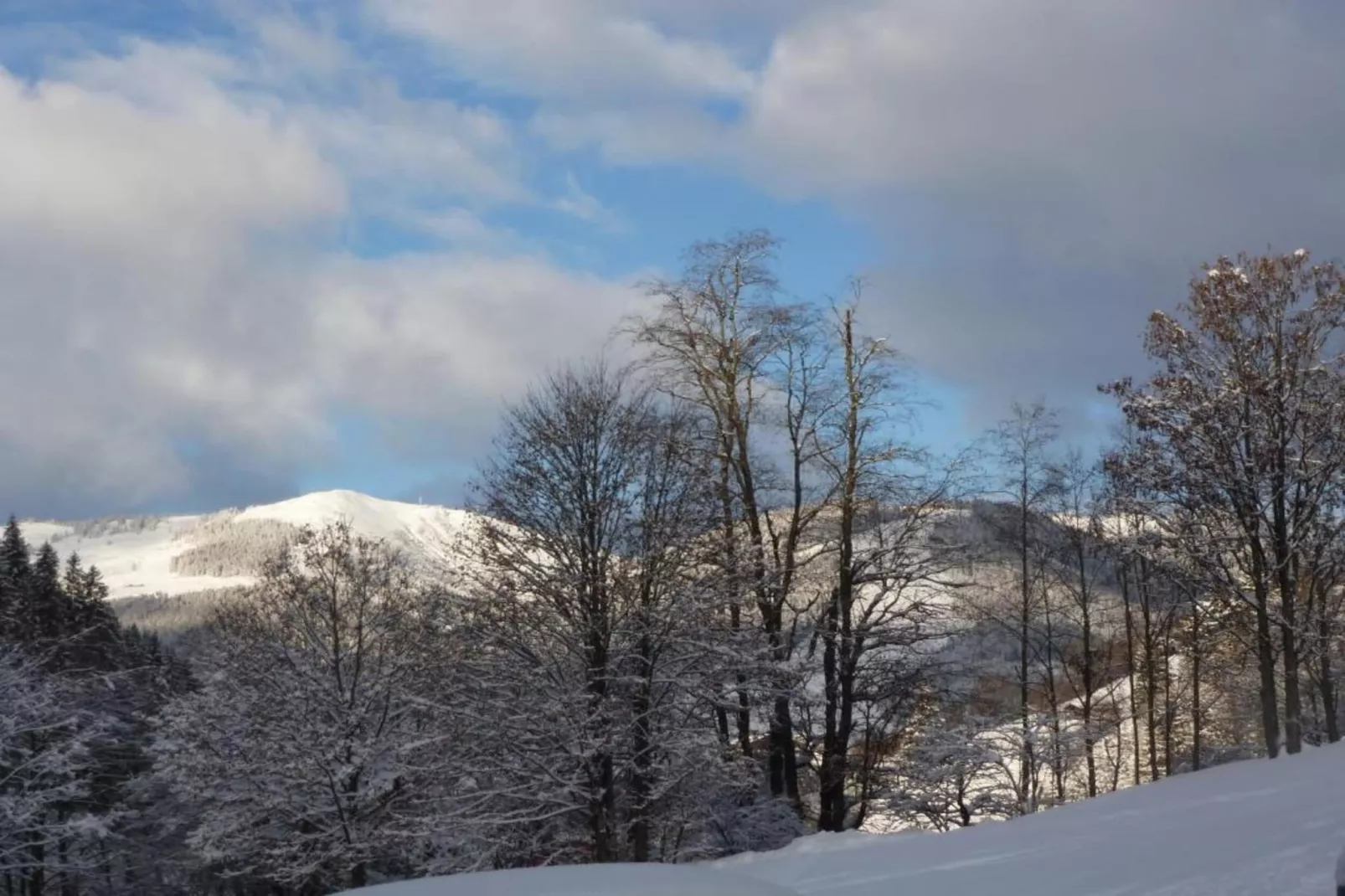 Apartment Lotte-Gebied winter 20km