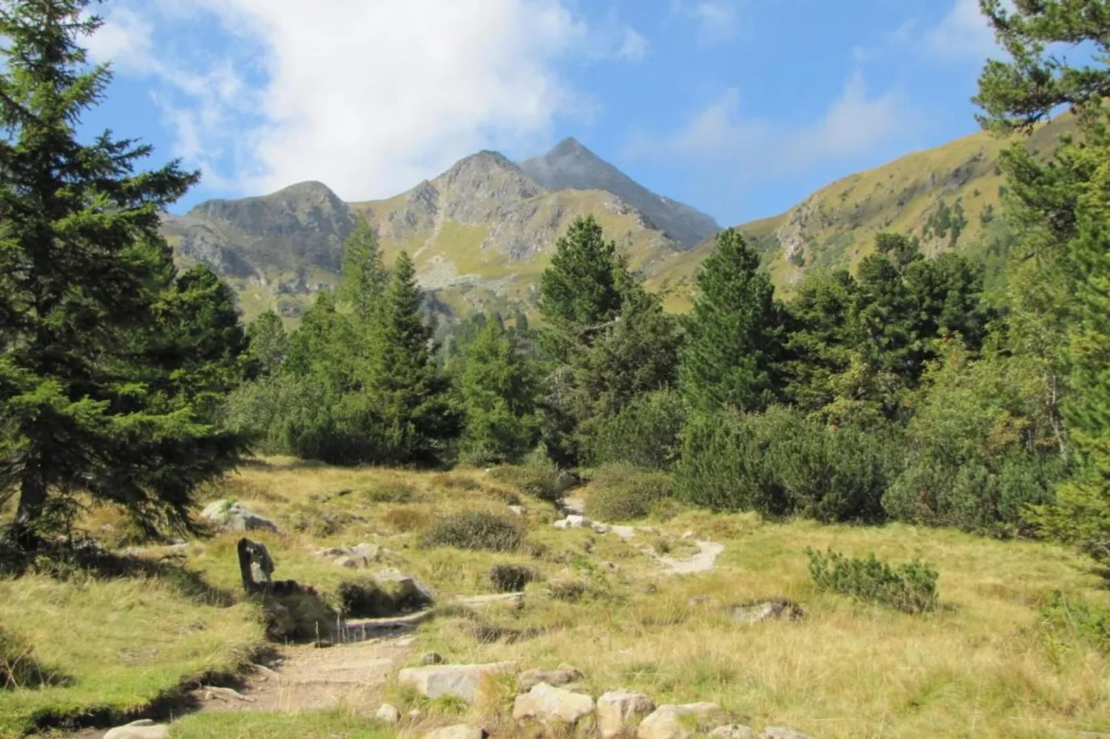 Chalet Zuckerhütl-Gebieden zomer 20km