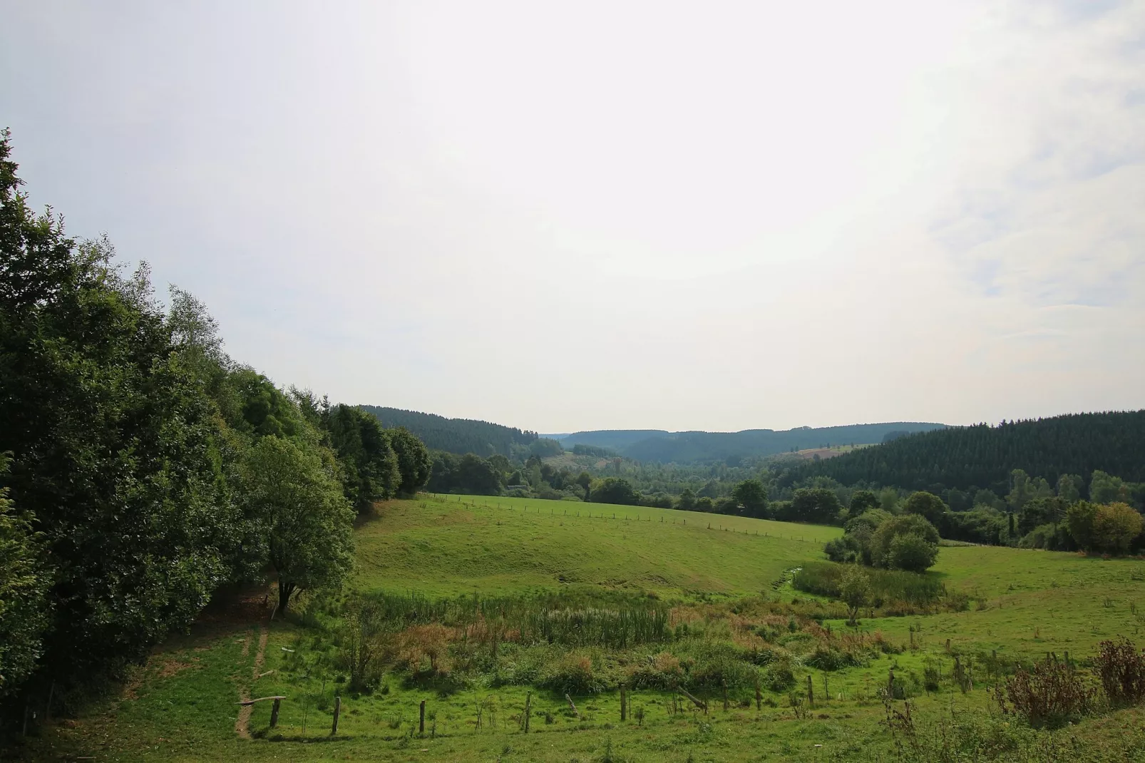Oasis-Gebieden zomer 5km