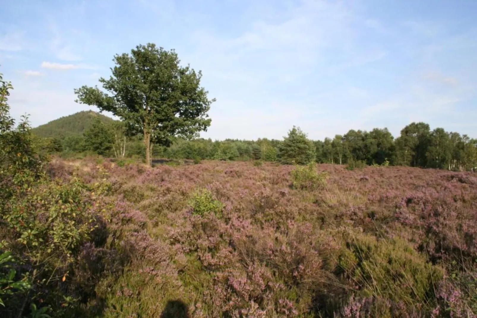 Het Bloesemklooster-Gebieden zomer 20km