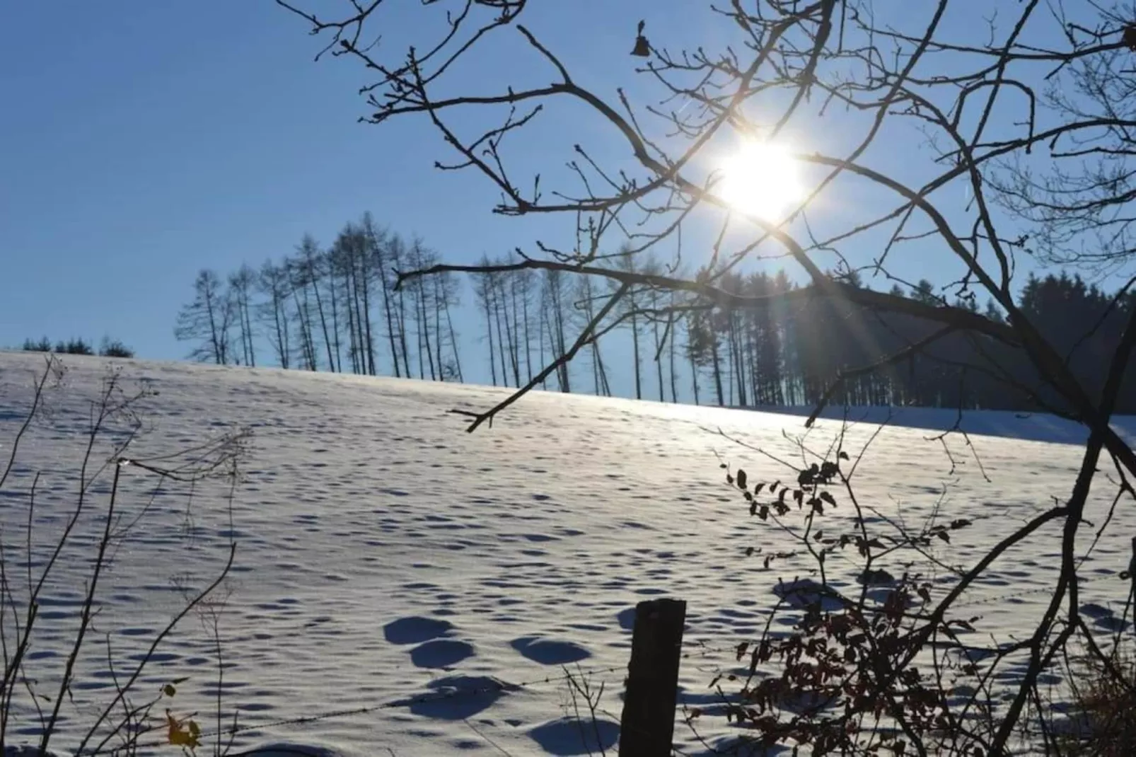Horécalienne-Gebied winter 20km