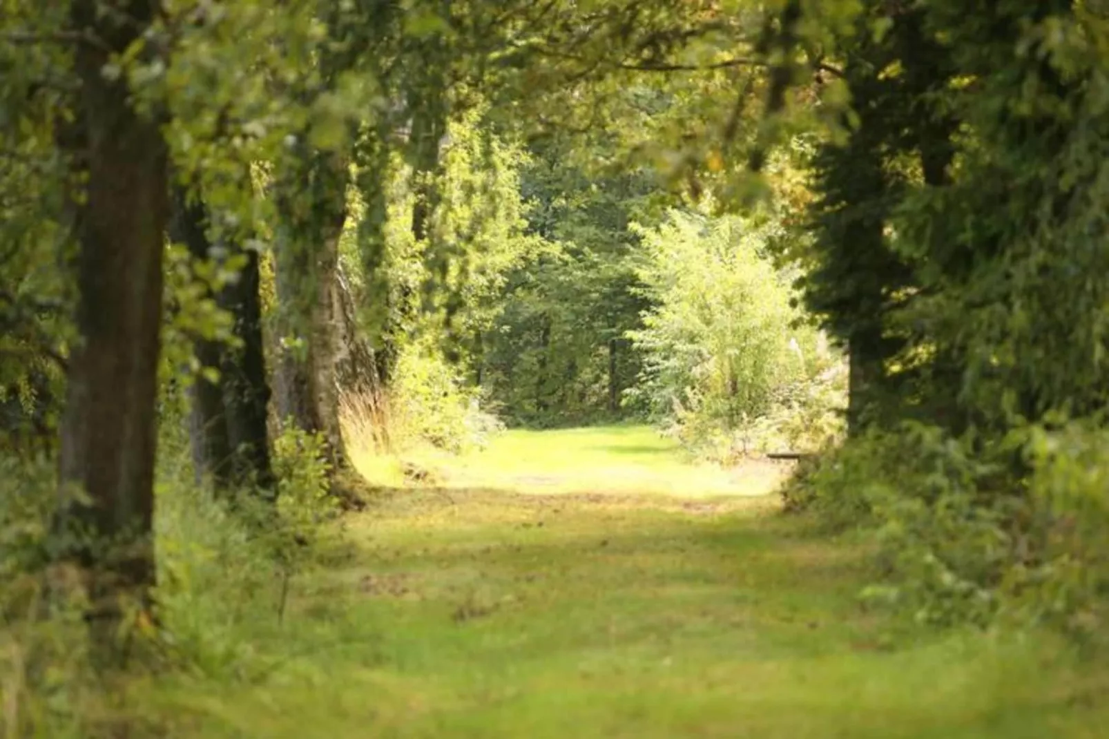 Les Sittelles-Gebieden zomer 20km