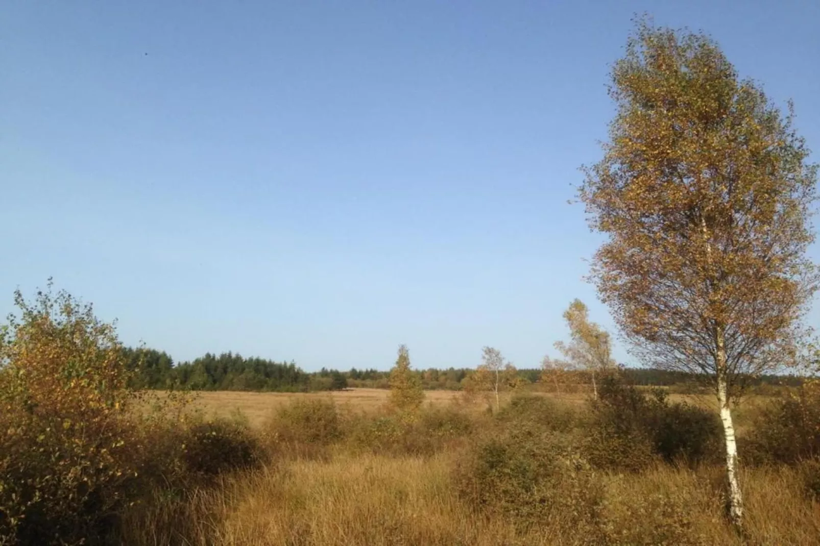 Camping Petite Suisse 3-Gebieden zomer 5km
