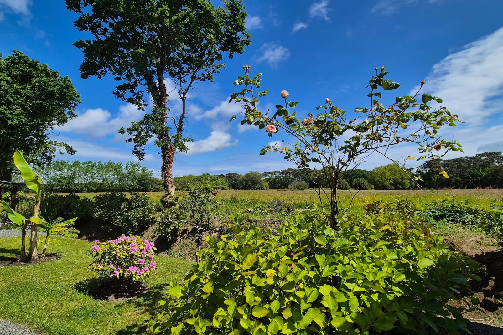 Holiday home Plourivo-Gebieden zomer 1km