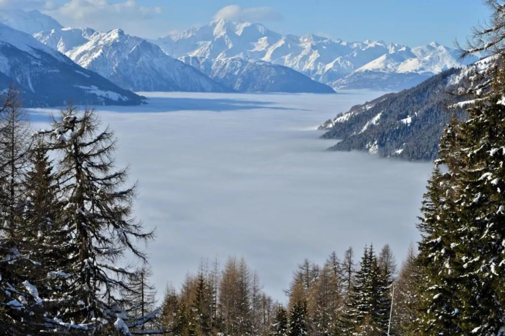 Bel Air-Gebied winter 5km