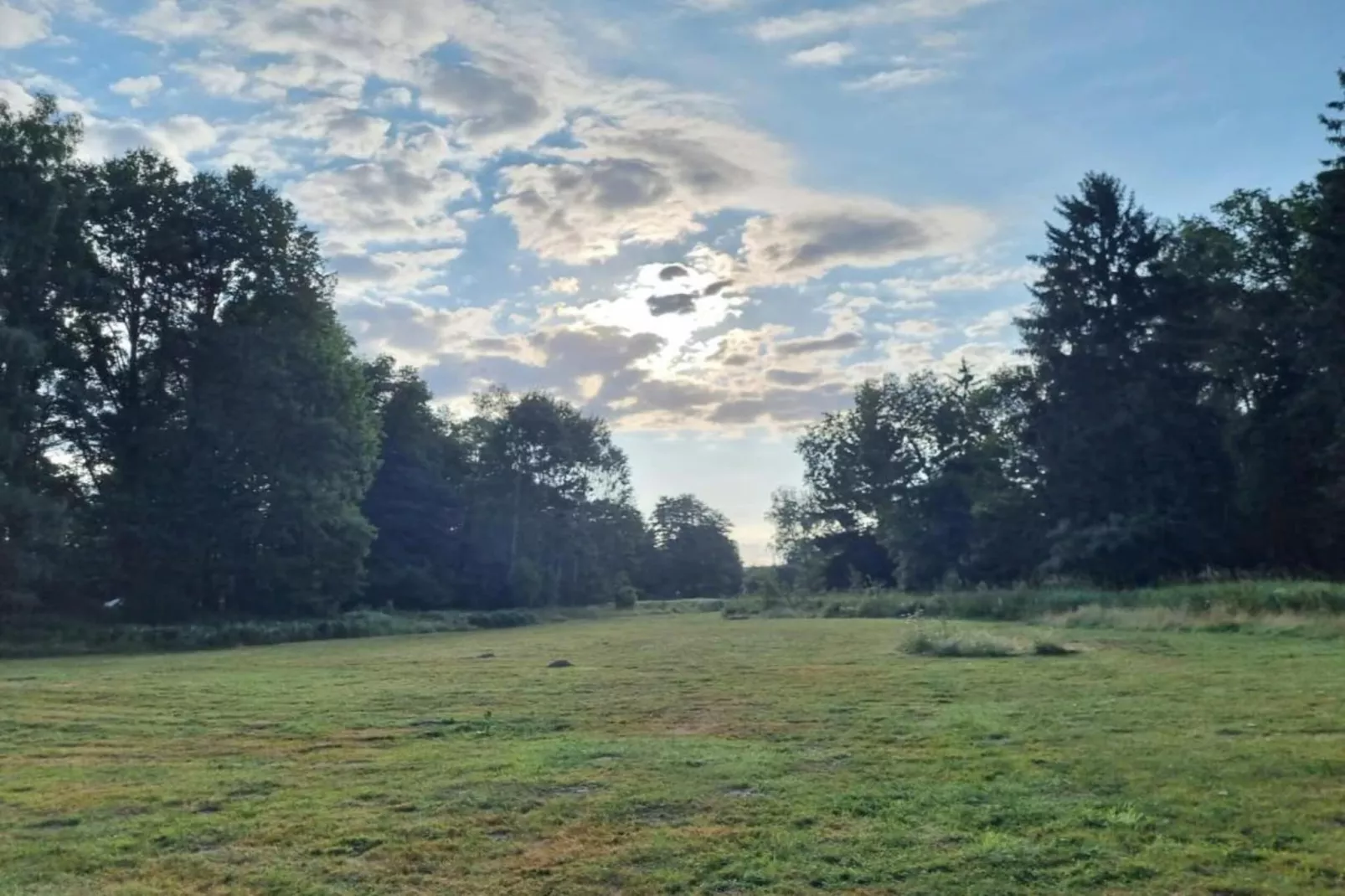 Bilinsky-Gebieden zomer 20km