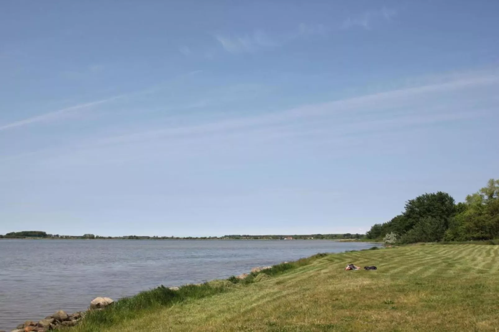 Uferschwalbe 3-Gebieden zomer 20km