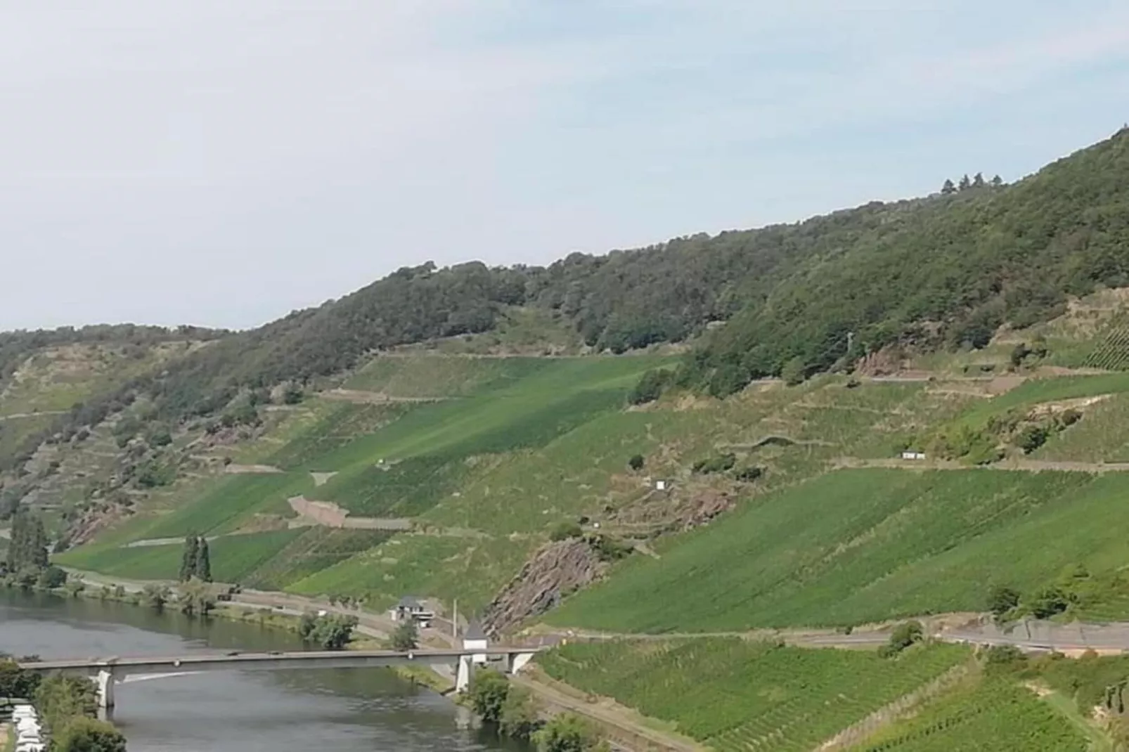 Ferienwohnung mit Moselblick-Gebieden zomer 20km