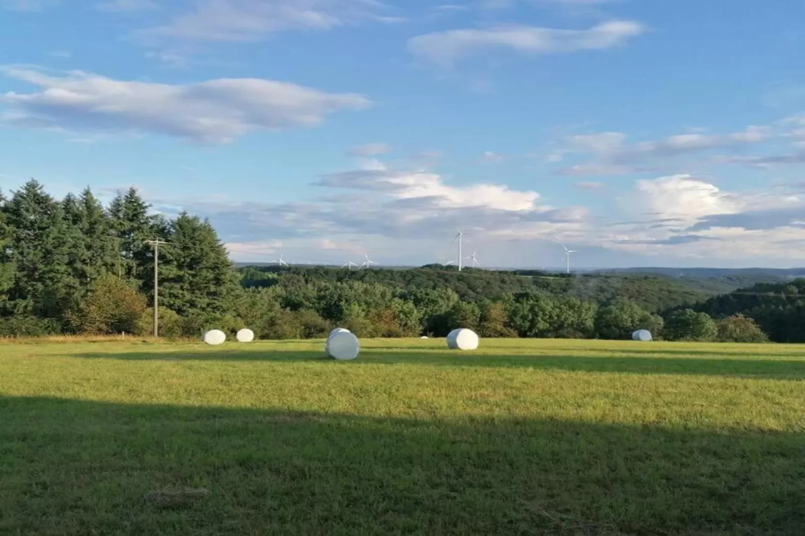 Ferienhaus Steinbach-Hallenberg-Gebieden zomer 20km