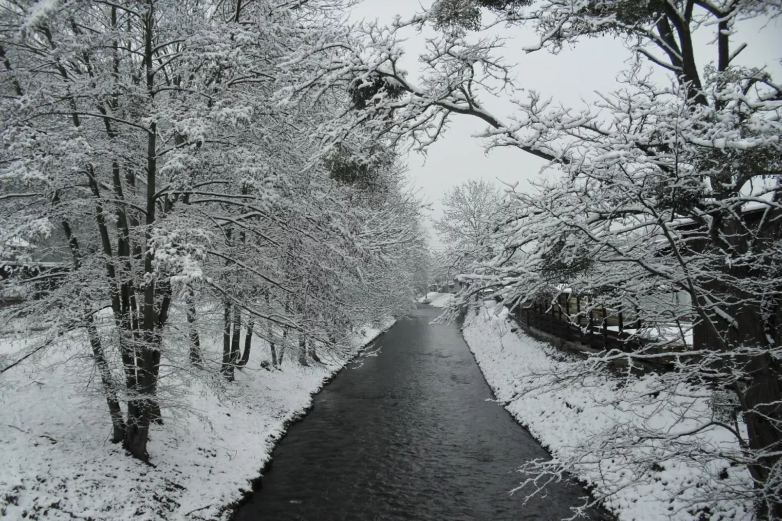 Sächsische Schweiz-Gebied winter 5km