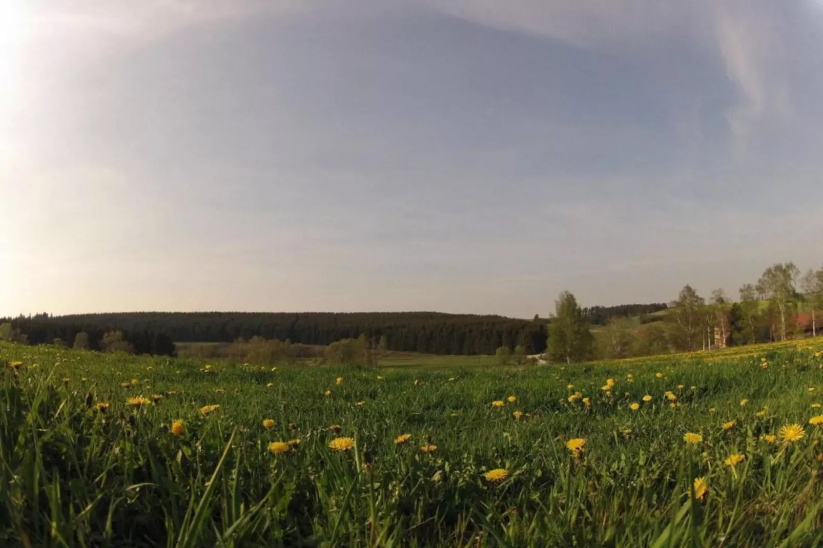 Im Harz-Gebieden zomer 20km