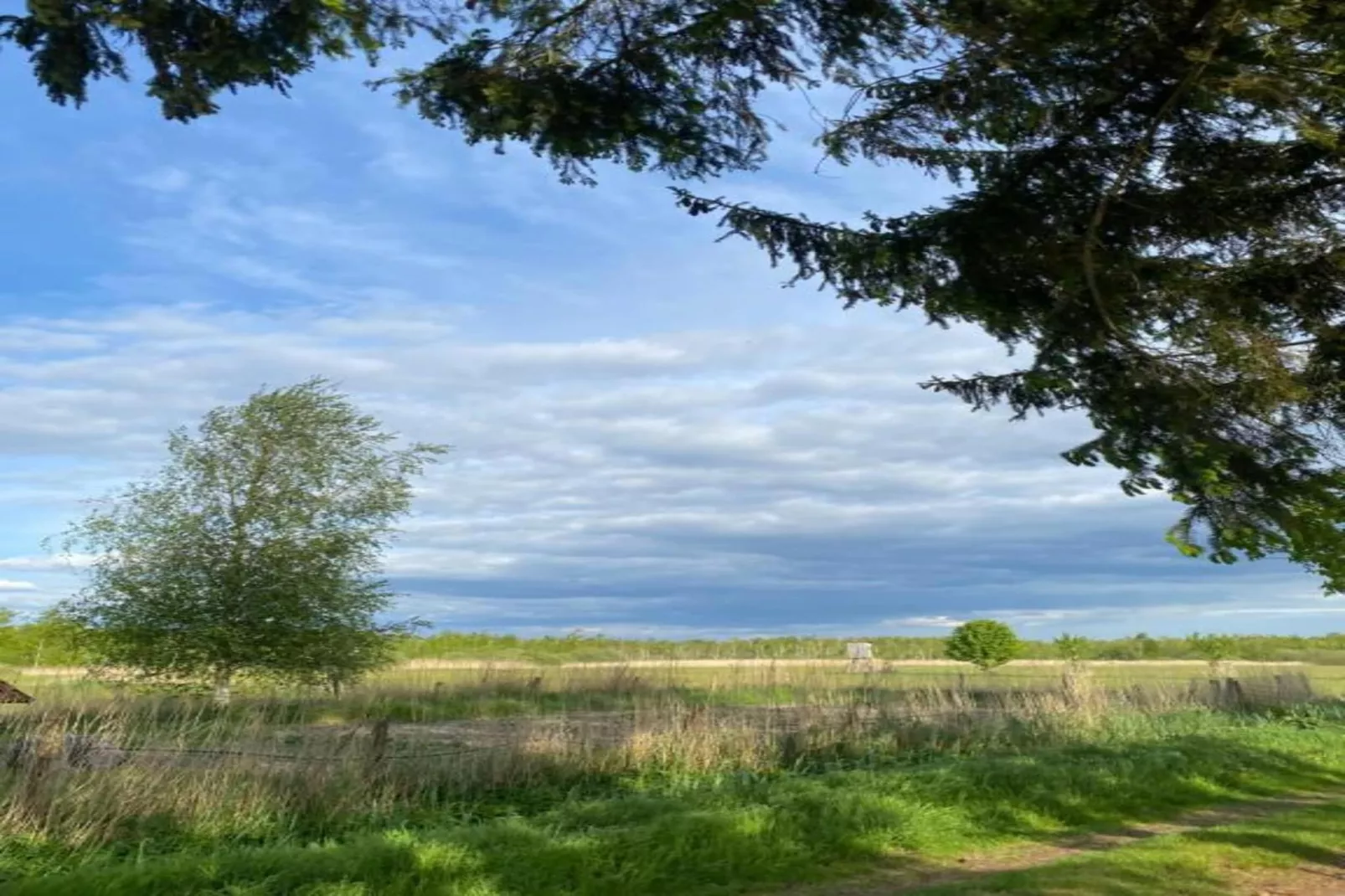 Ferienhaus Ahlbeck am Haff - Schlafen unter Reet / 2-Gebieden zomer 20km
