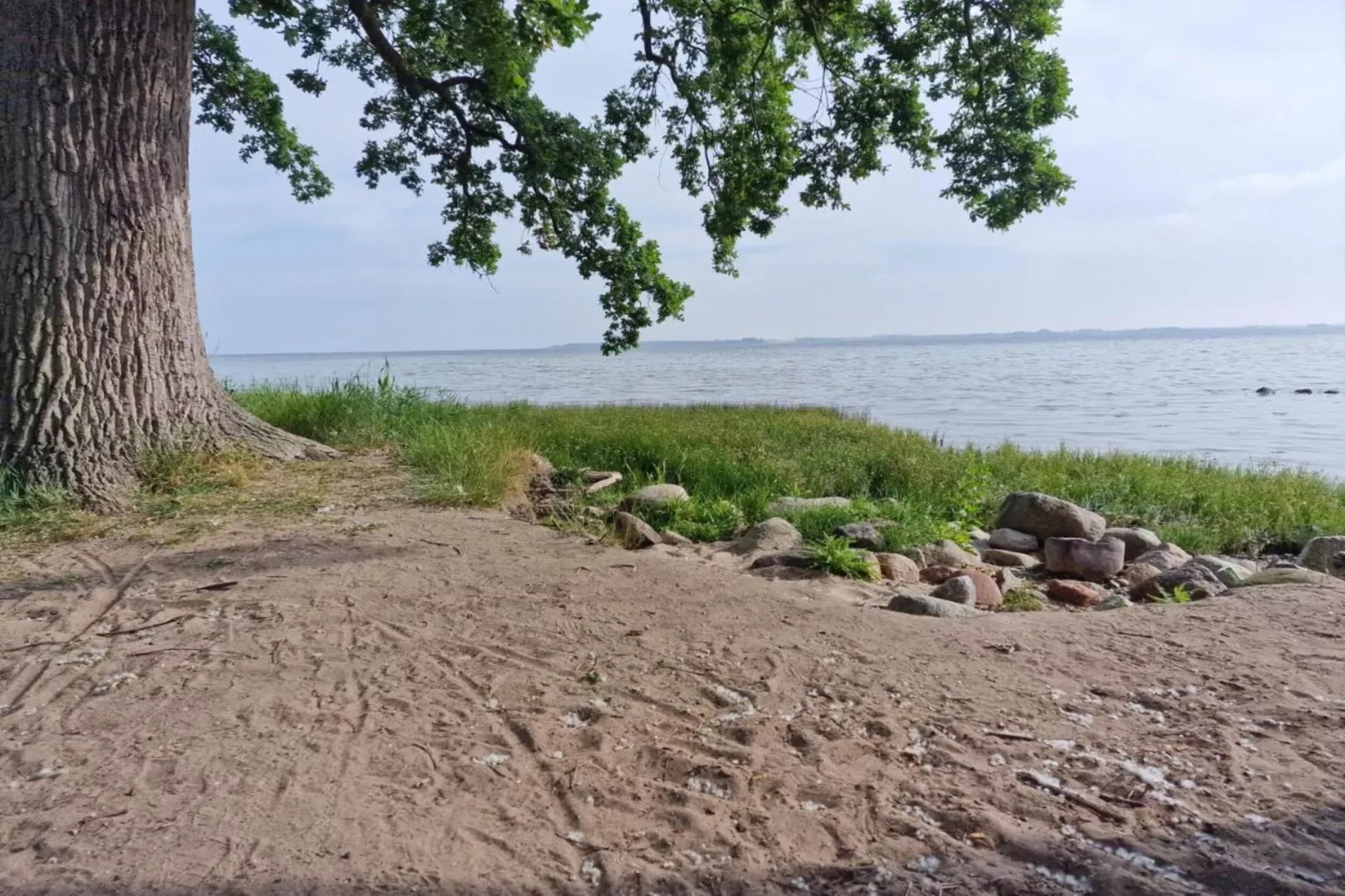 Bungalowanlage Gänseblümchen 6-Gebieden zomer 5km