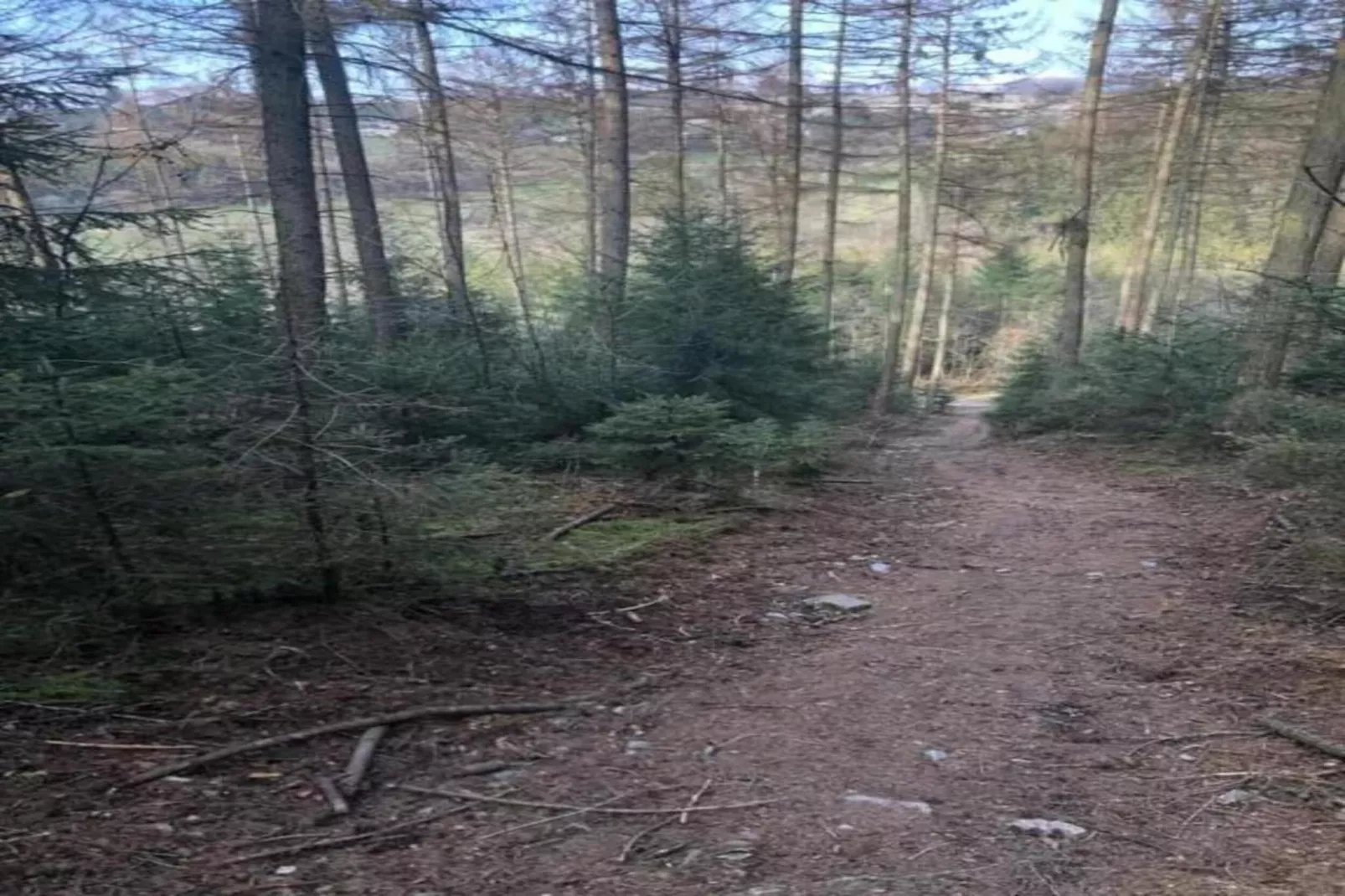 Haus am Iberg-Gebieden zomer 20km
