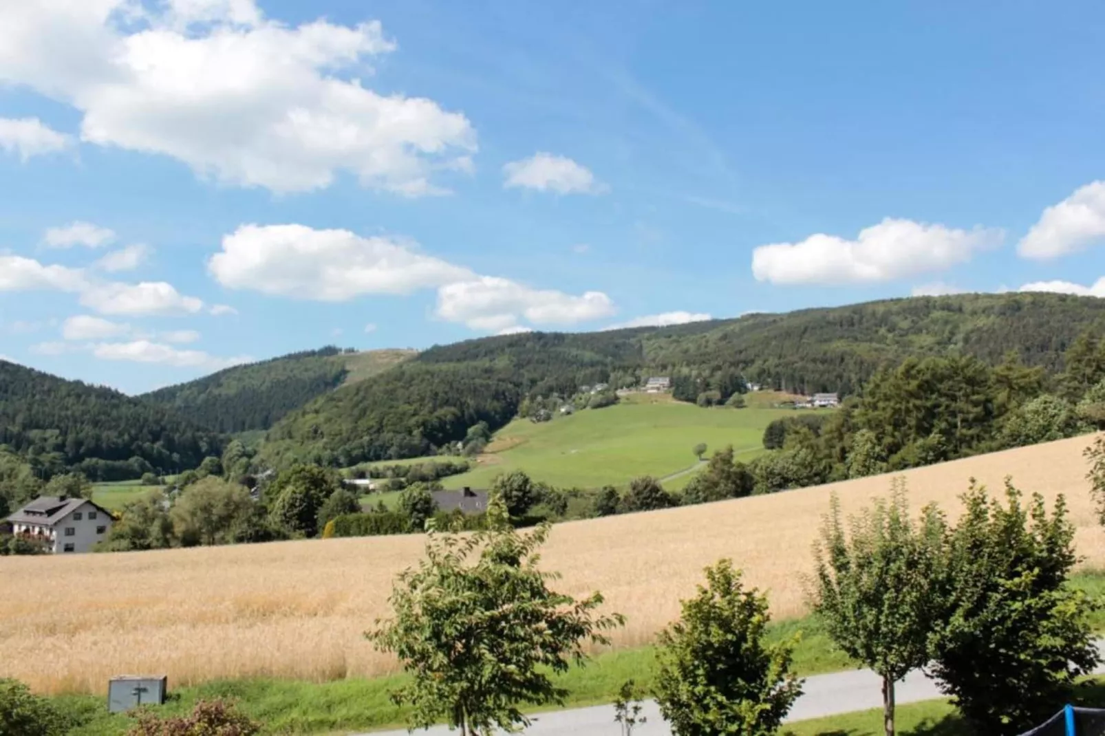 Mühlenberg-Gebieden zomer 5km