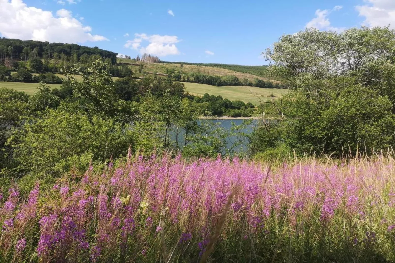 Sauerland - Diemelsee-Gebieden zomer 5km