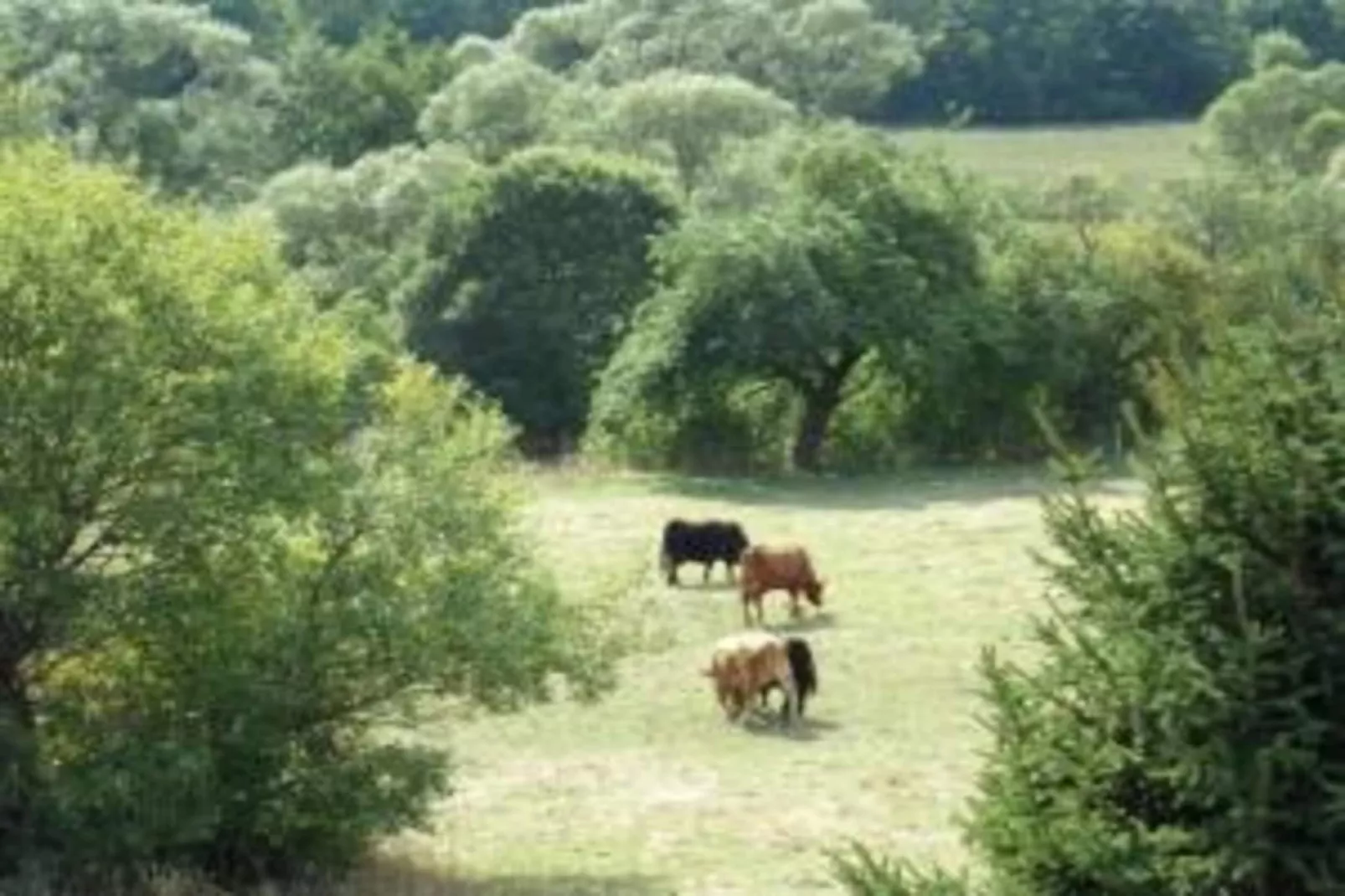 Sauerland-Gebieden zomer 20km