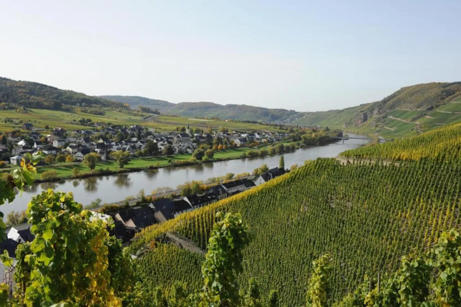 Weingut Justen-Kiebel-Gebieden zomer 20km