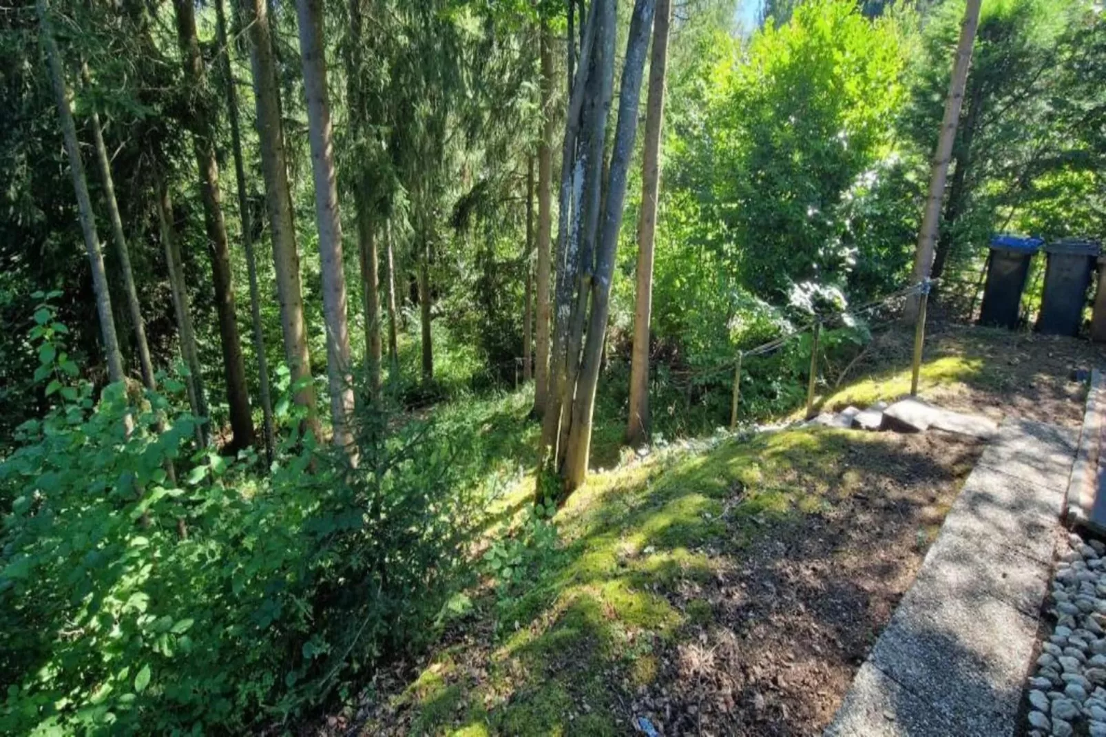 Eifelpark 9-Gebieden zomer 5km