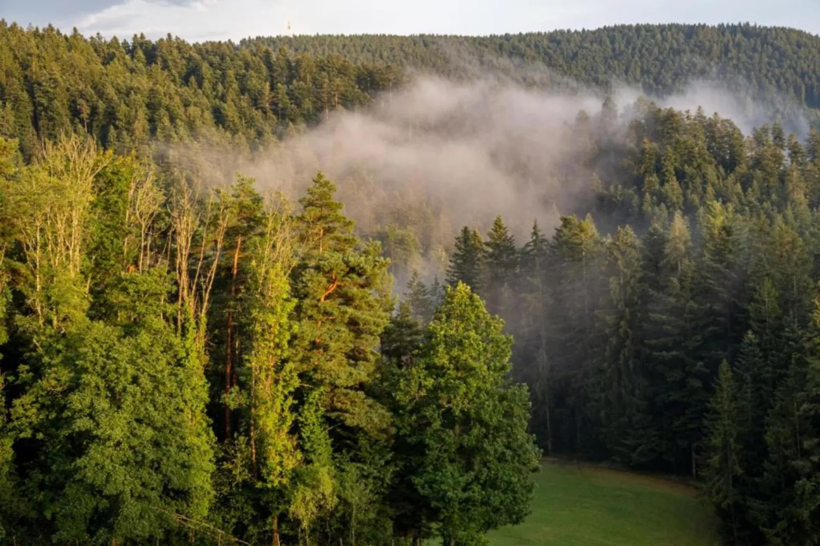 Schwarzwald Marie-Gebieden zomer 20km