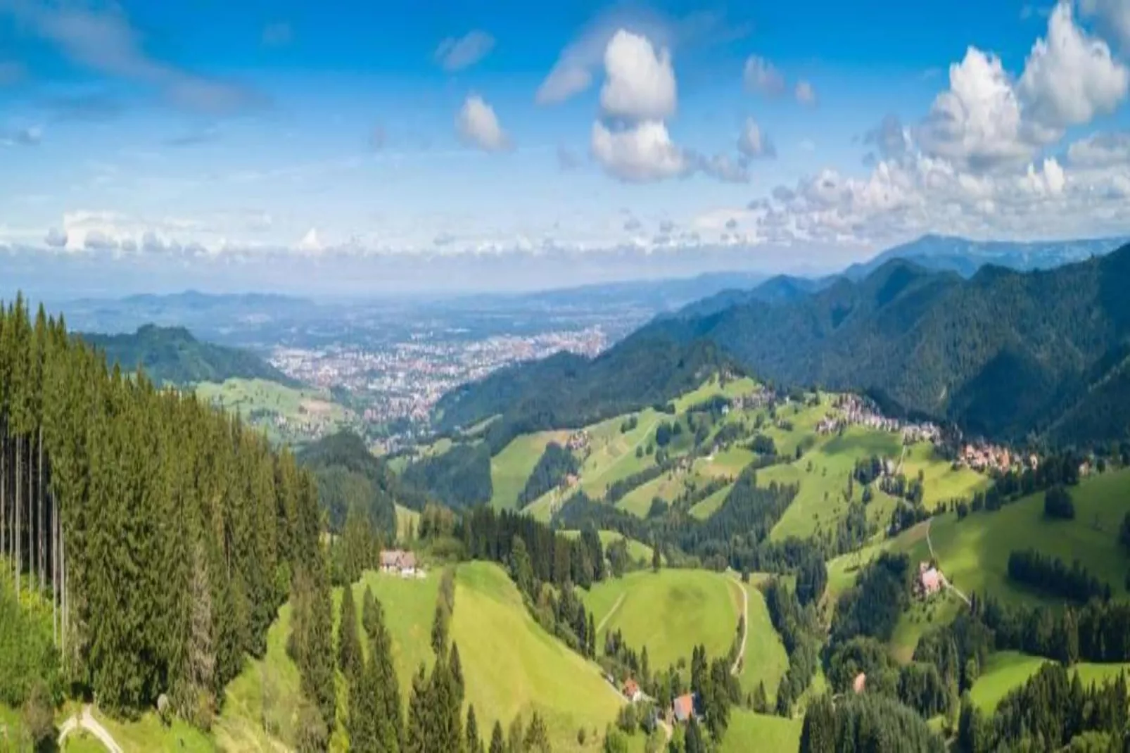 Brigachmühle-Gebieden zomer 20km