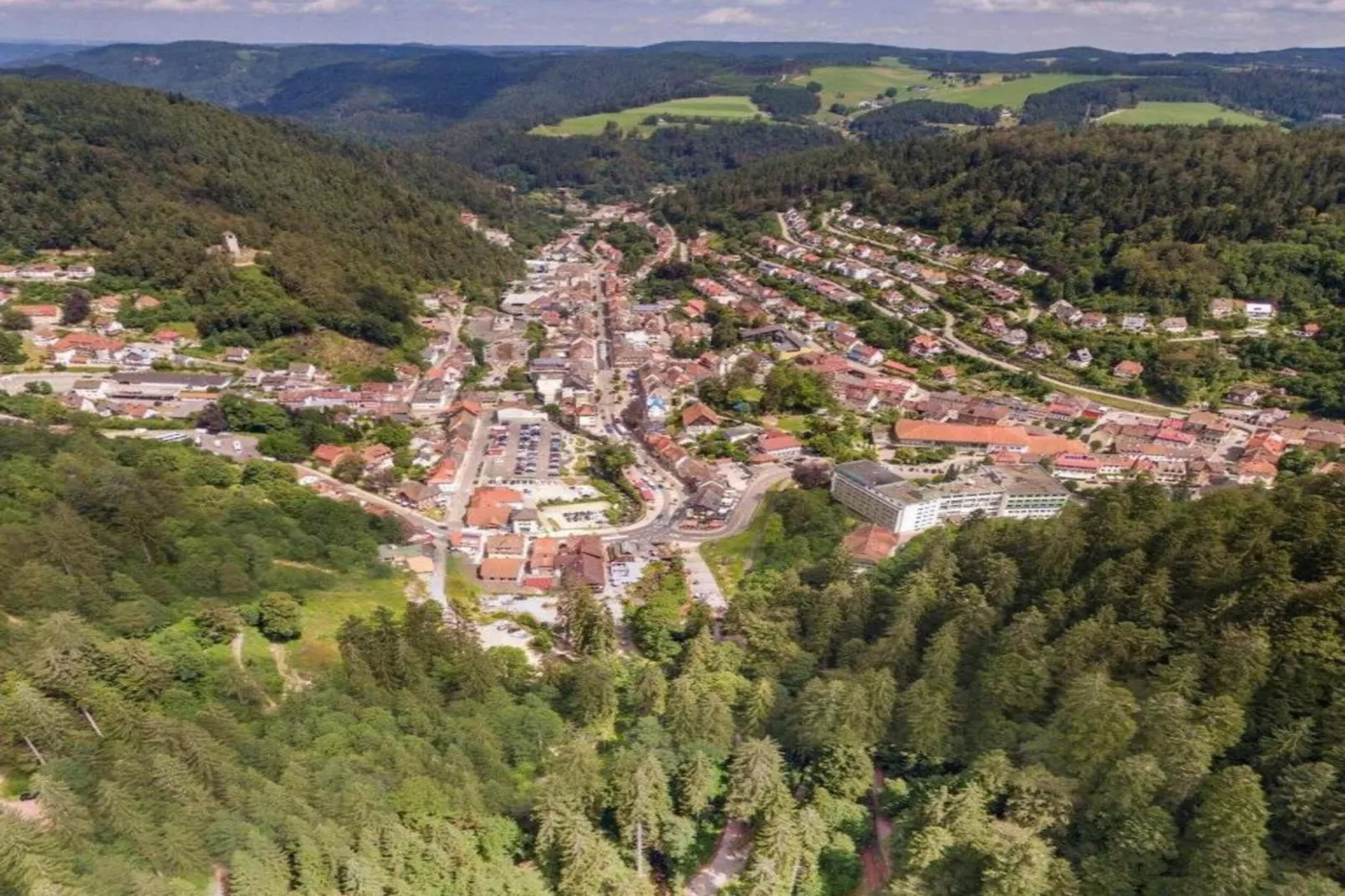 Brigachmühle-Gebieden zomer 20km