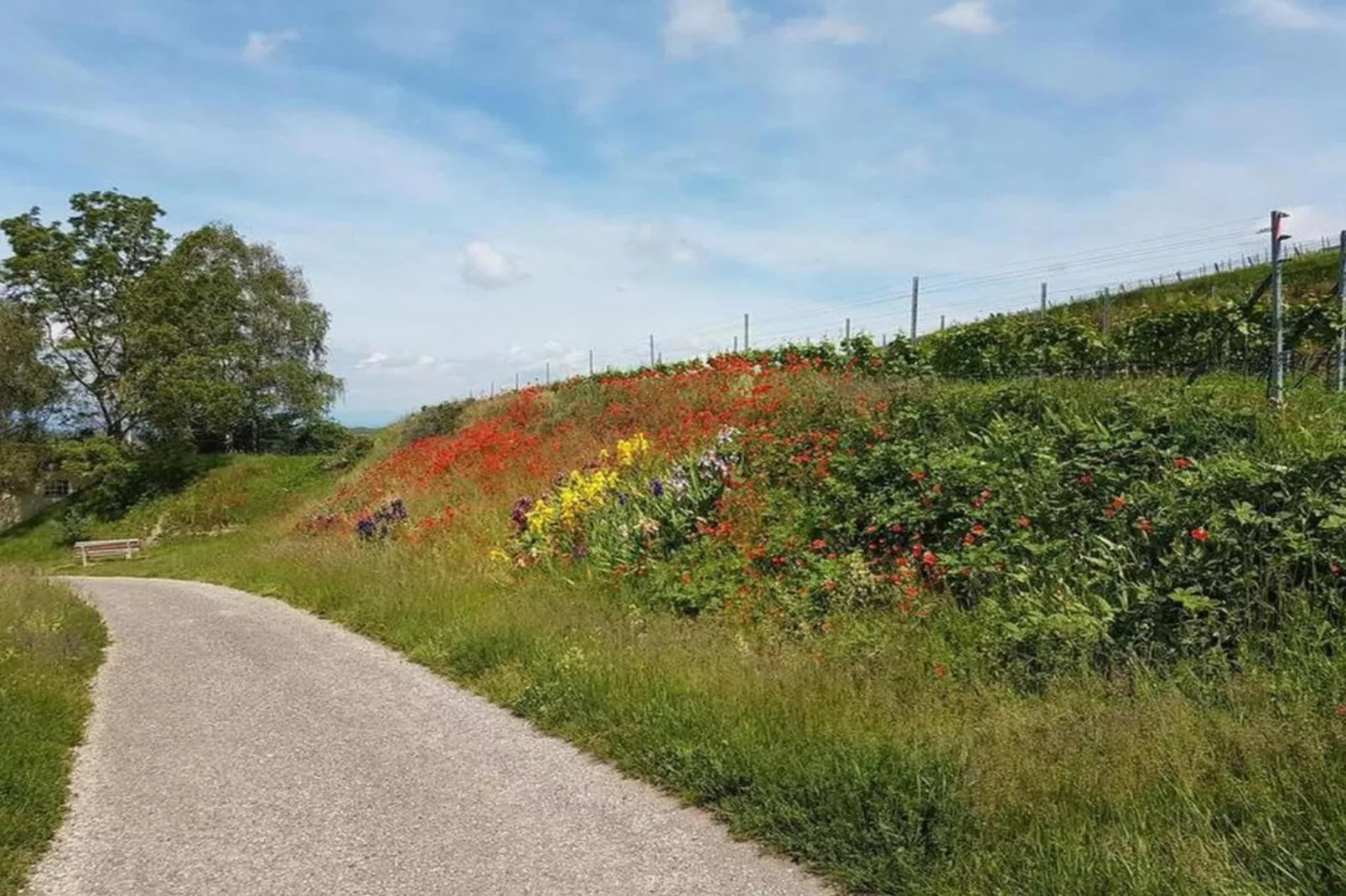 Ferienwohnung Franz-Gebieden zomer 20km