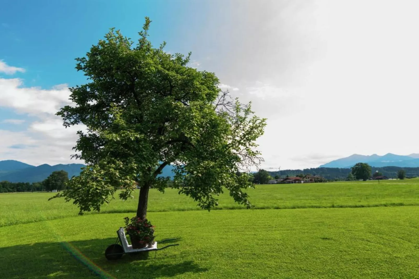 Bauernhaus-Gebieden zomer 5km