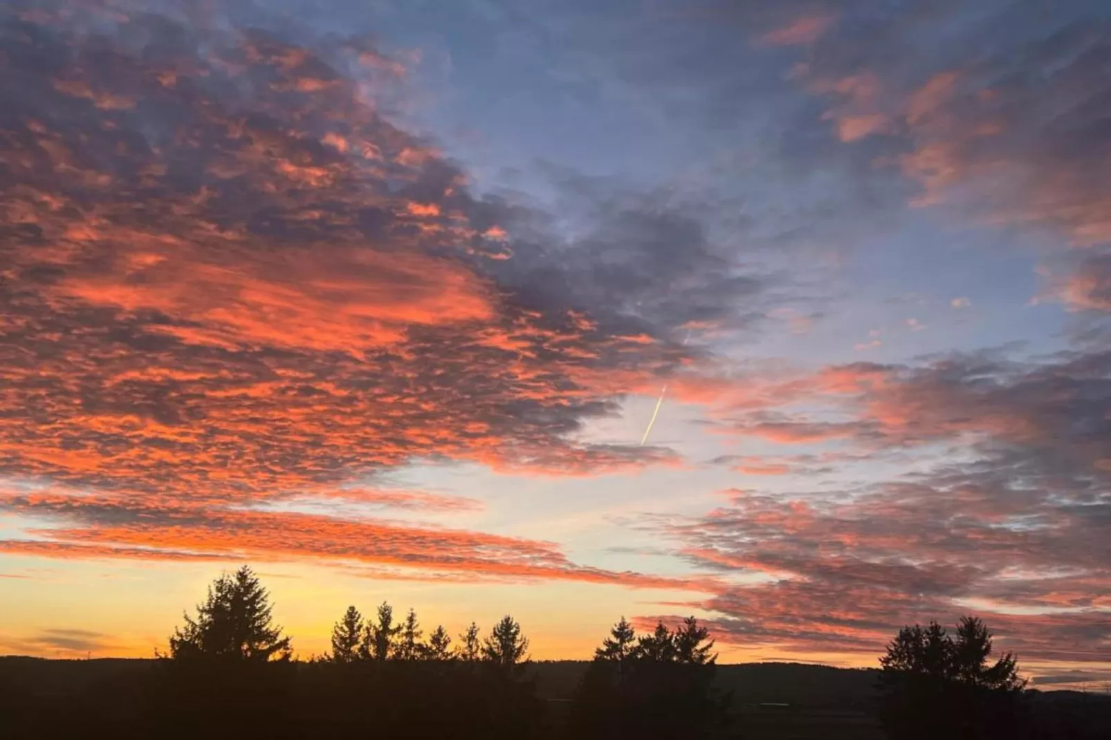 Am Bodensee-Gebieden zomer 20km