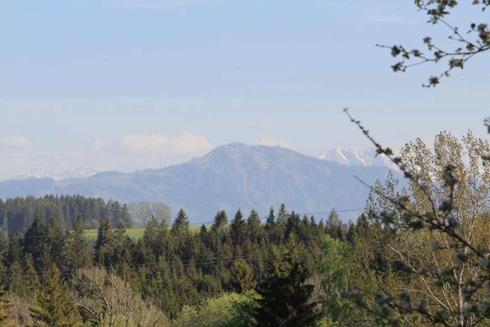 Bayerischer Wald-Gebieden zomer 5km