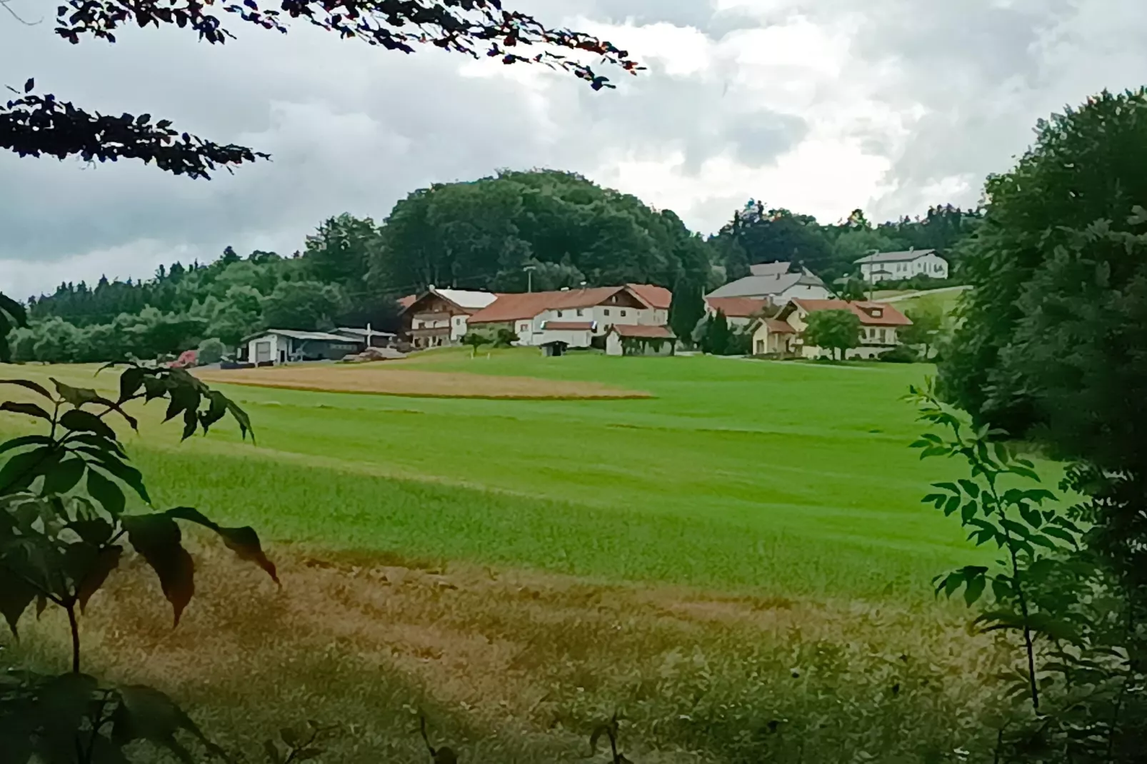 Haus Renate-Uitzicht zomer
