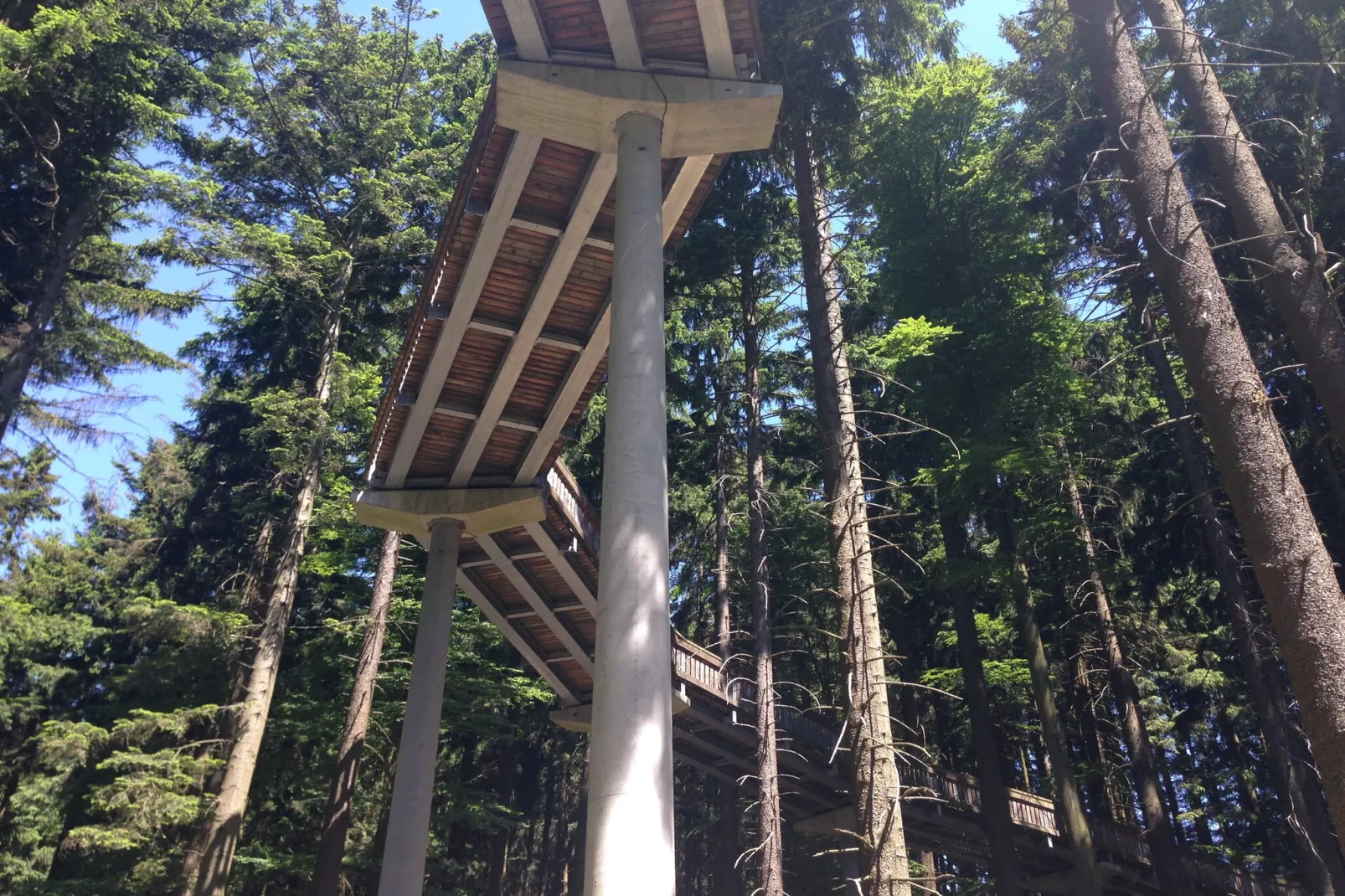 Im Bayerischen Wald-Gebieden zomer 20km