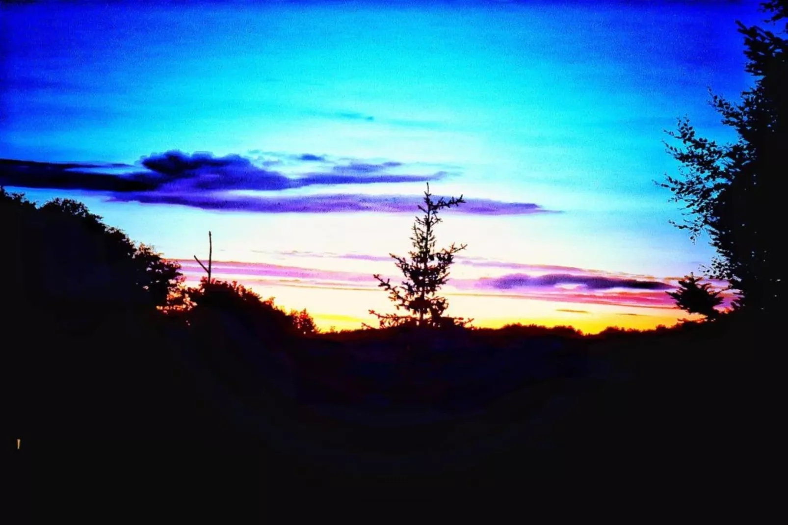 Wildrose-Gebieden zomer 20km