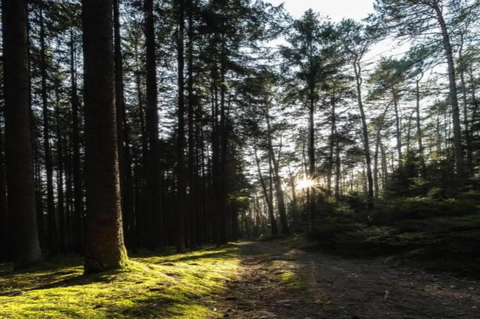 Sereen verblijf met tuin-Gebieden zomer 5km