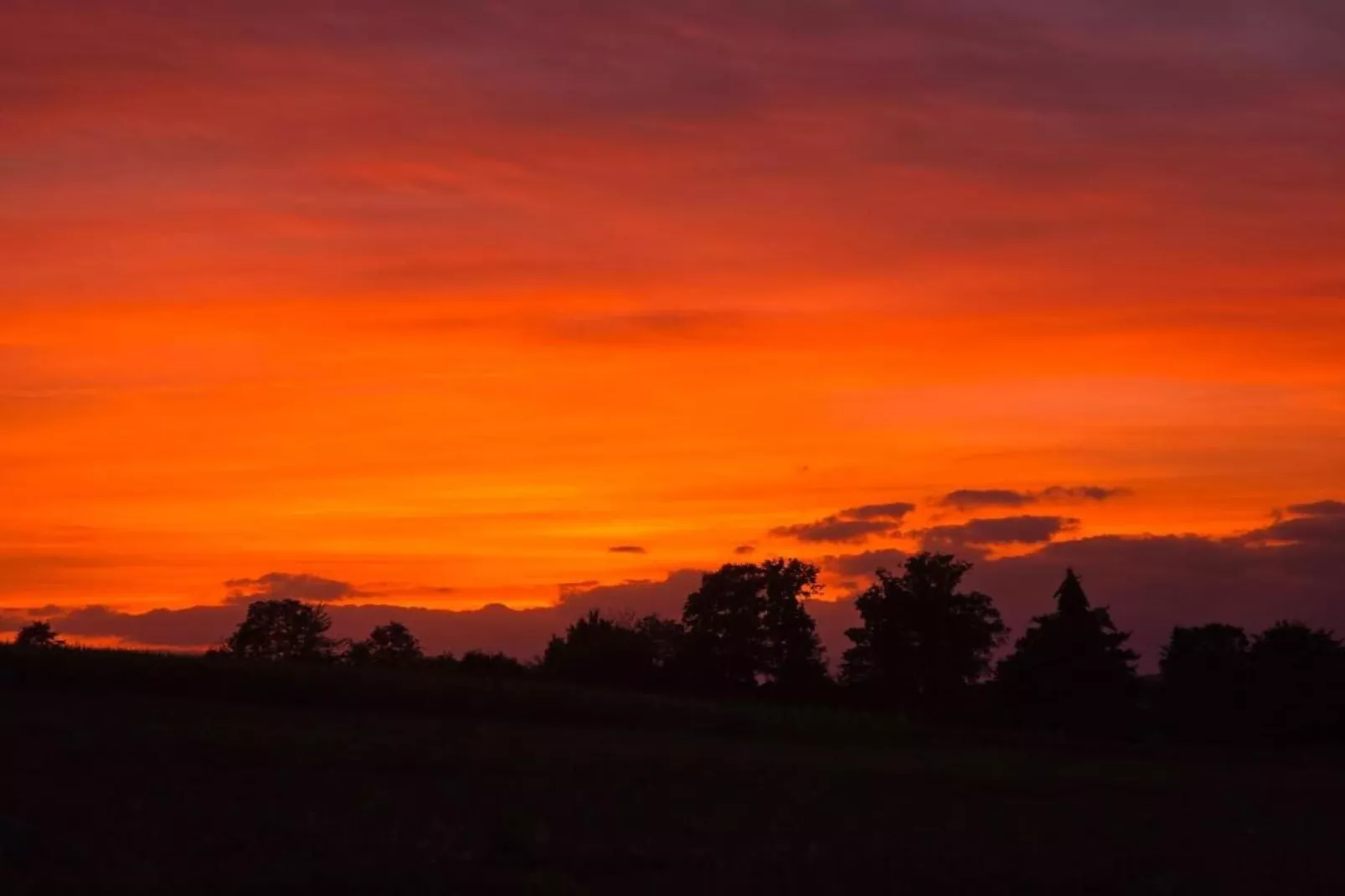 Neustadt 1-Gebieden zomer 5km