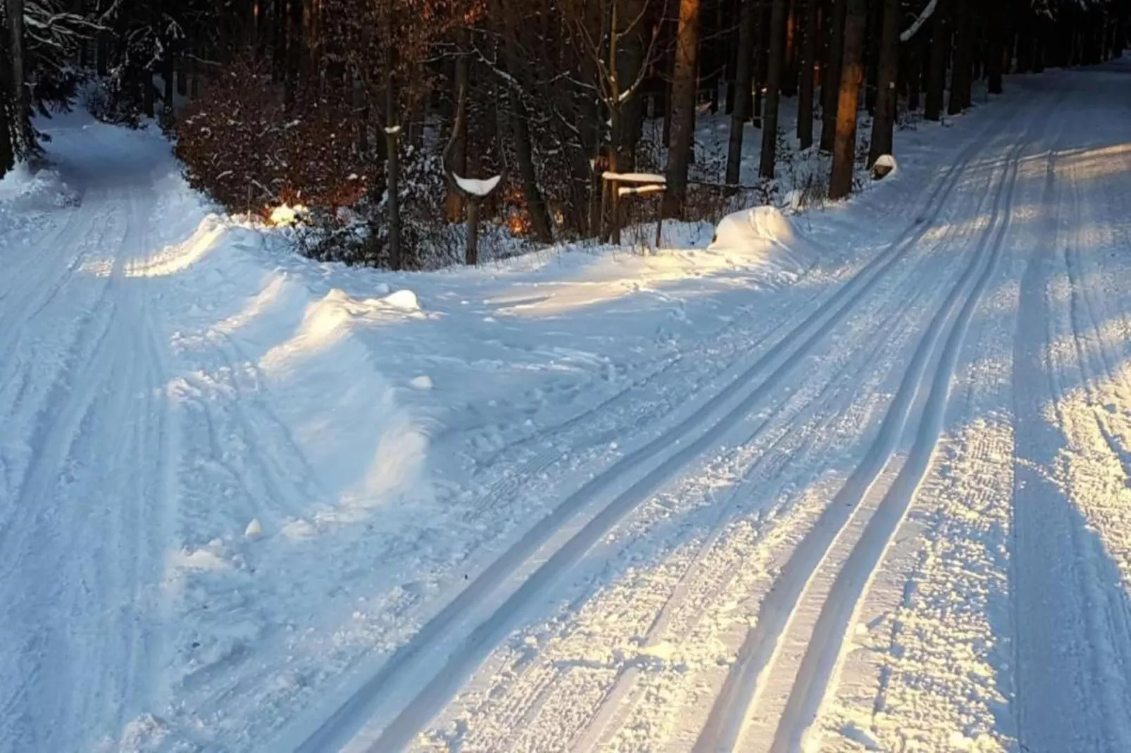 Ferienhaus im Thüringer Wald-Gebied winter 5km